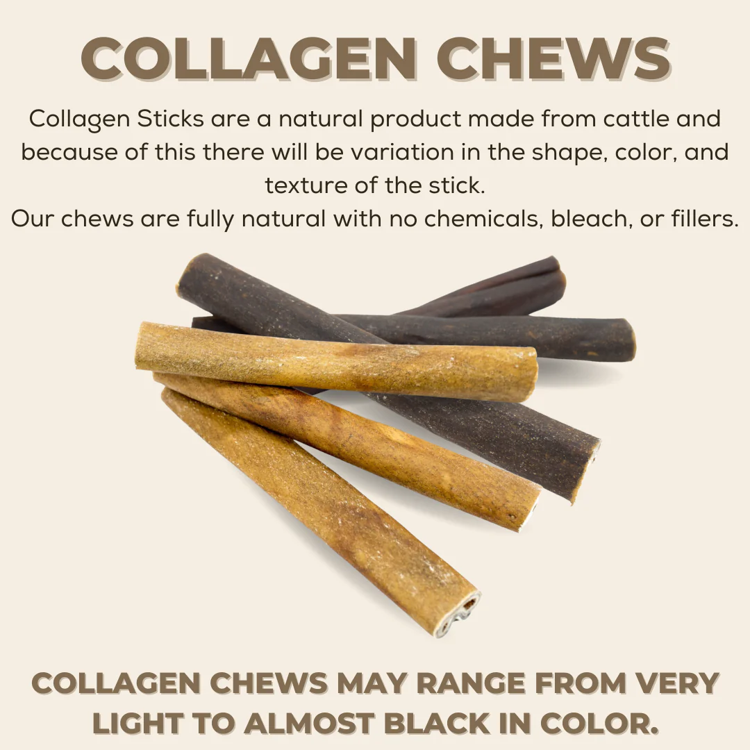 Bully Bunches 10-12 Inch Small Braided Collagen Stick - Image 4