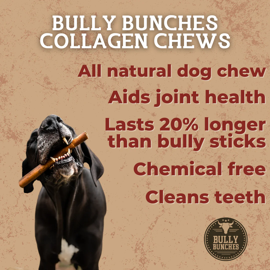 Bully Bunches 10-12 Inch Small Collagen Stick - Image 3