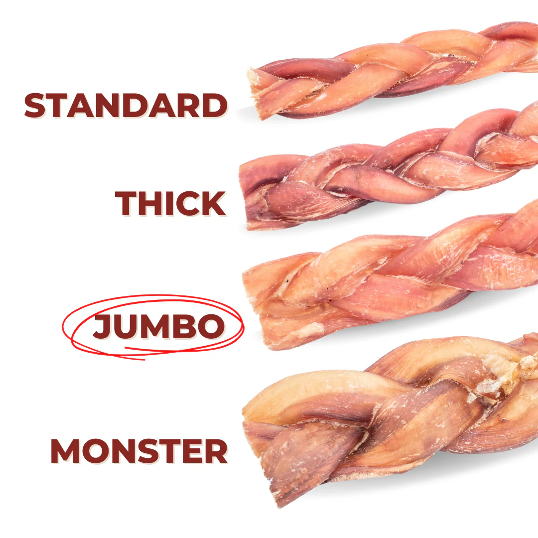 Bully Bunches 12 Inch Jumbo Braided Bully Stick - Image 3