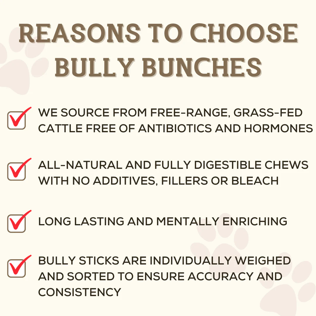 Bully Bunches 12 Inch Jumbo Braided Bully Stick - Image 7