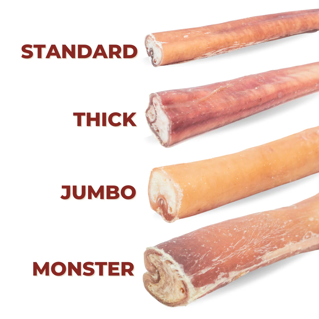 Bully Bunches 12 Inch Thick Bully Stick - Image 2