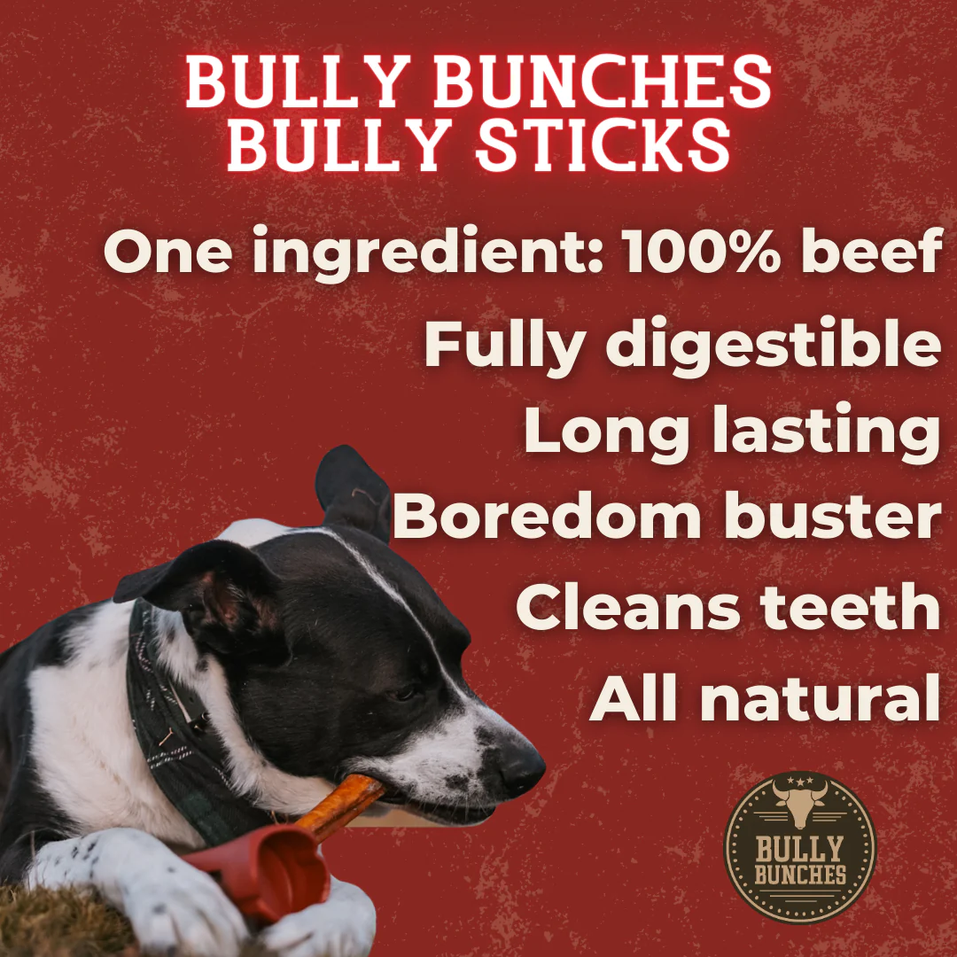 Bully Bunches 6 Inch Standard Braided Bully Stick - Image 4