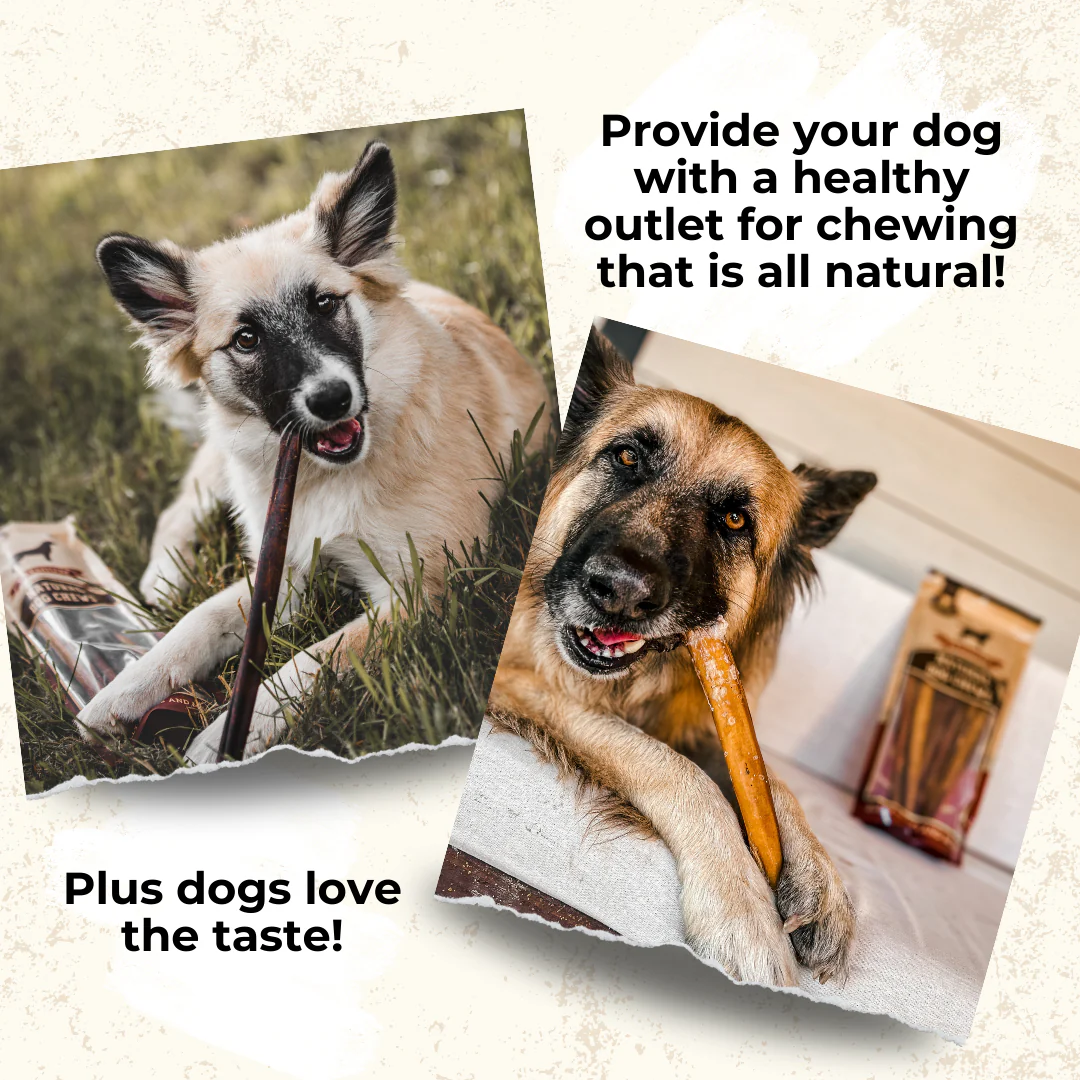 Bully Bunches 6 Inch Thick Bully Stick - Image 4