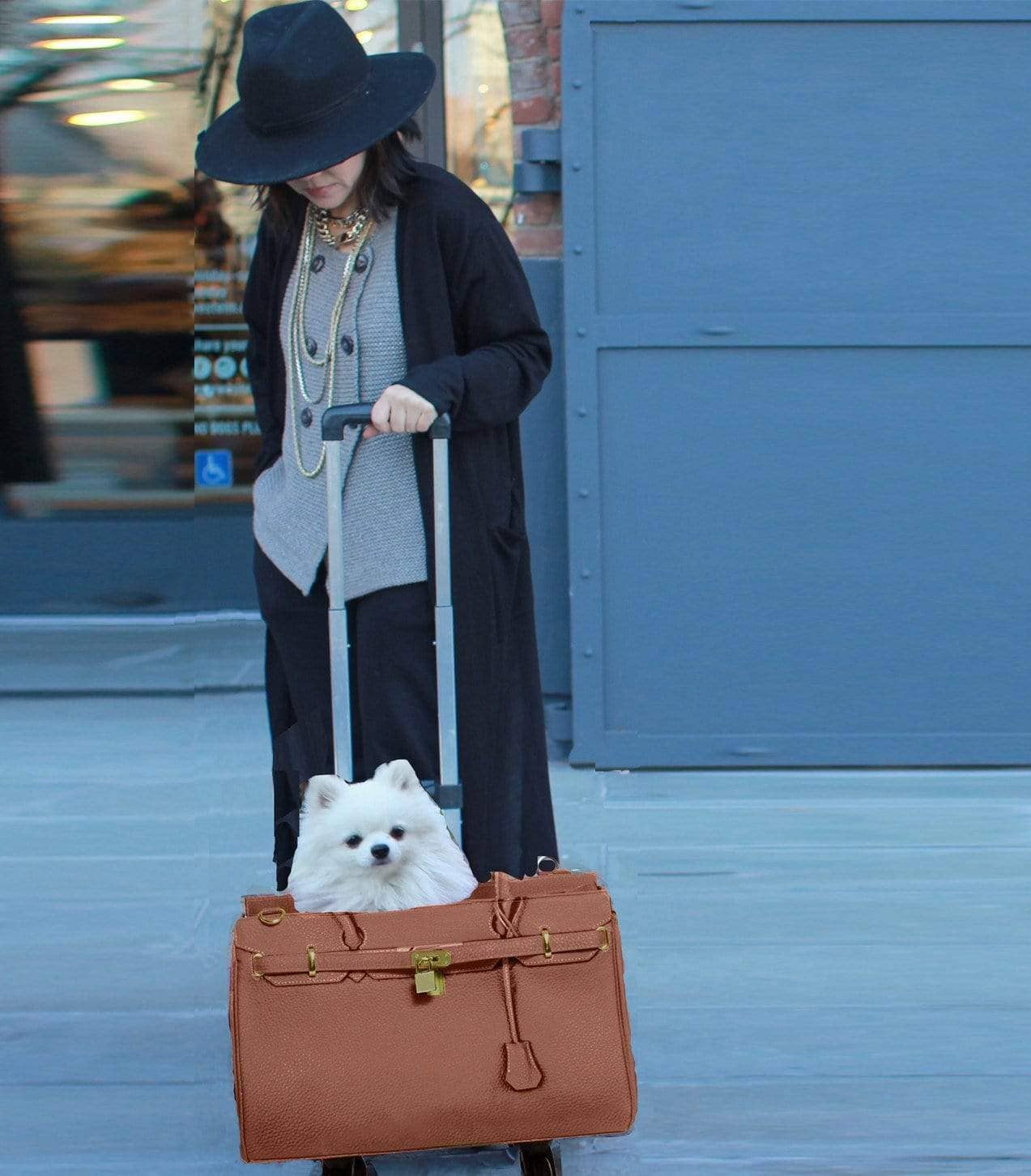 A Pet with Paws® Madison Carrier With Pet Trek Wheelbase - Image 6