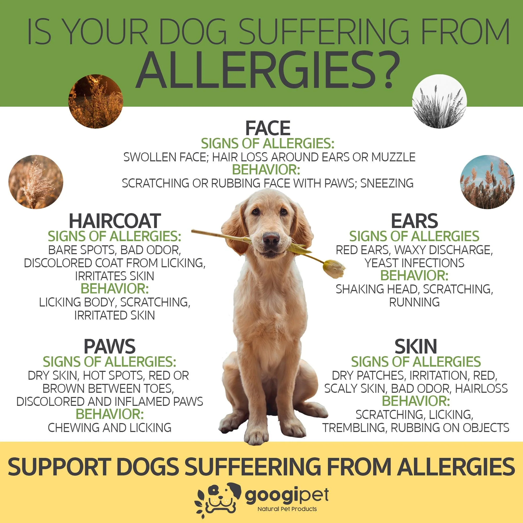 Googipet Allergy & Immune Support Chews for Dogs (Peanut Butter Flavor) - Image 8