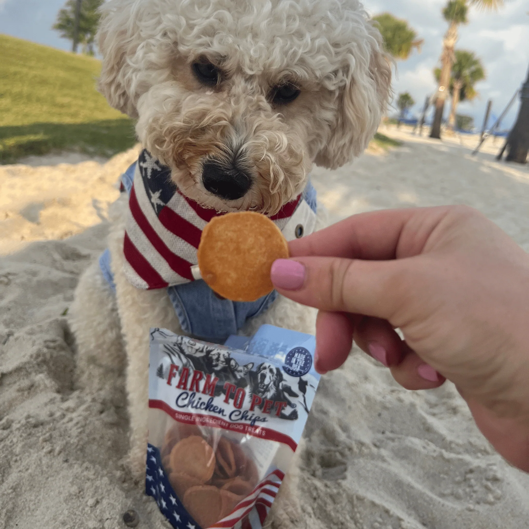 Americana Chicken Chips - Image 3