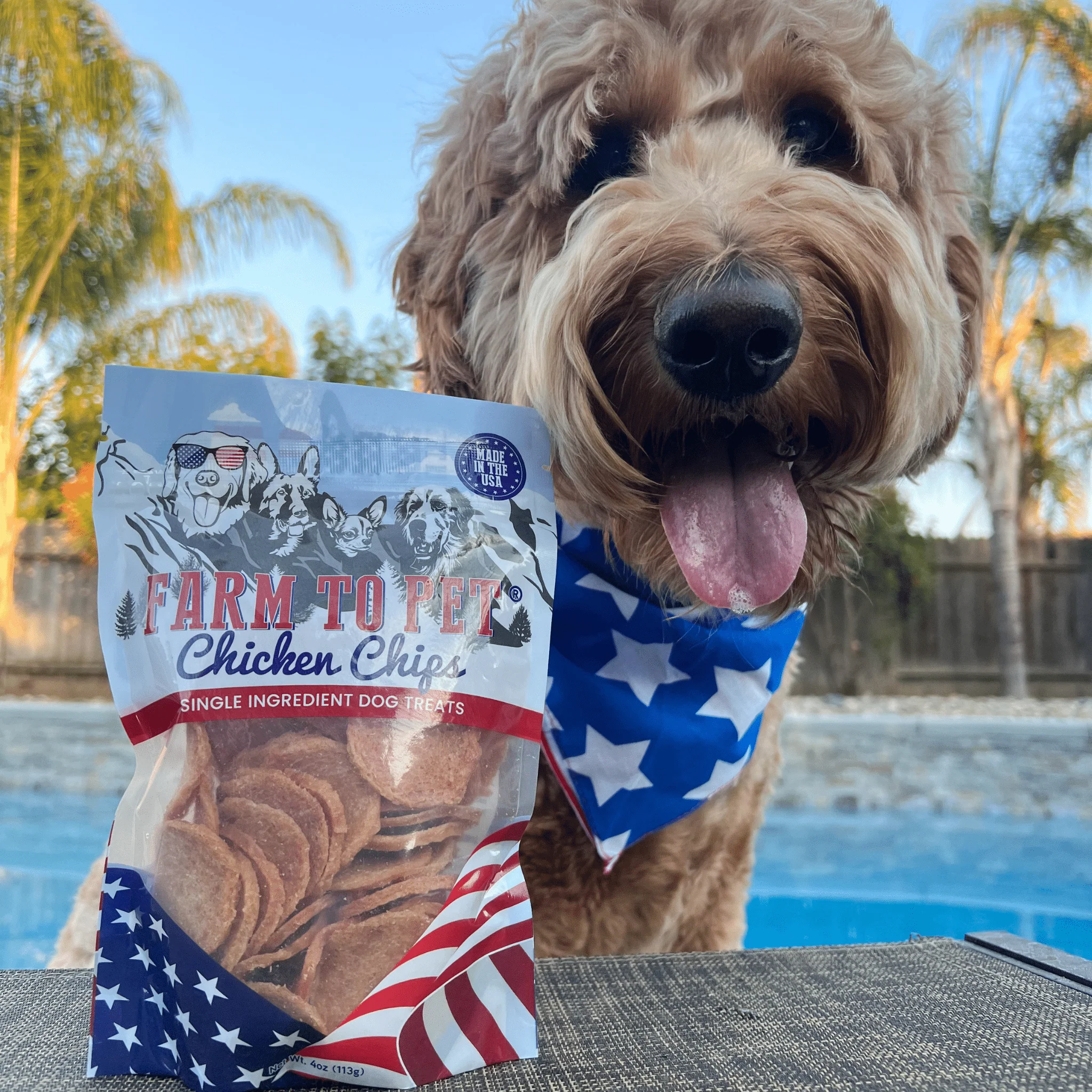 Americana Chicken Chips - Image 4