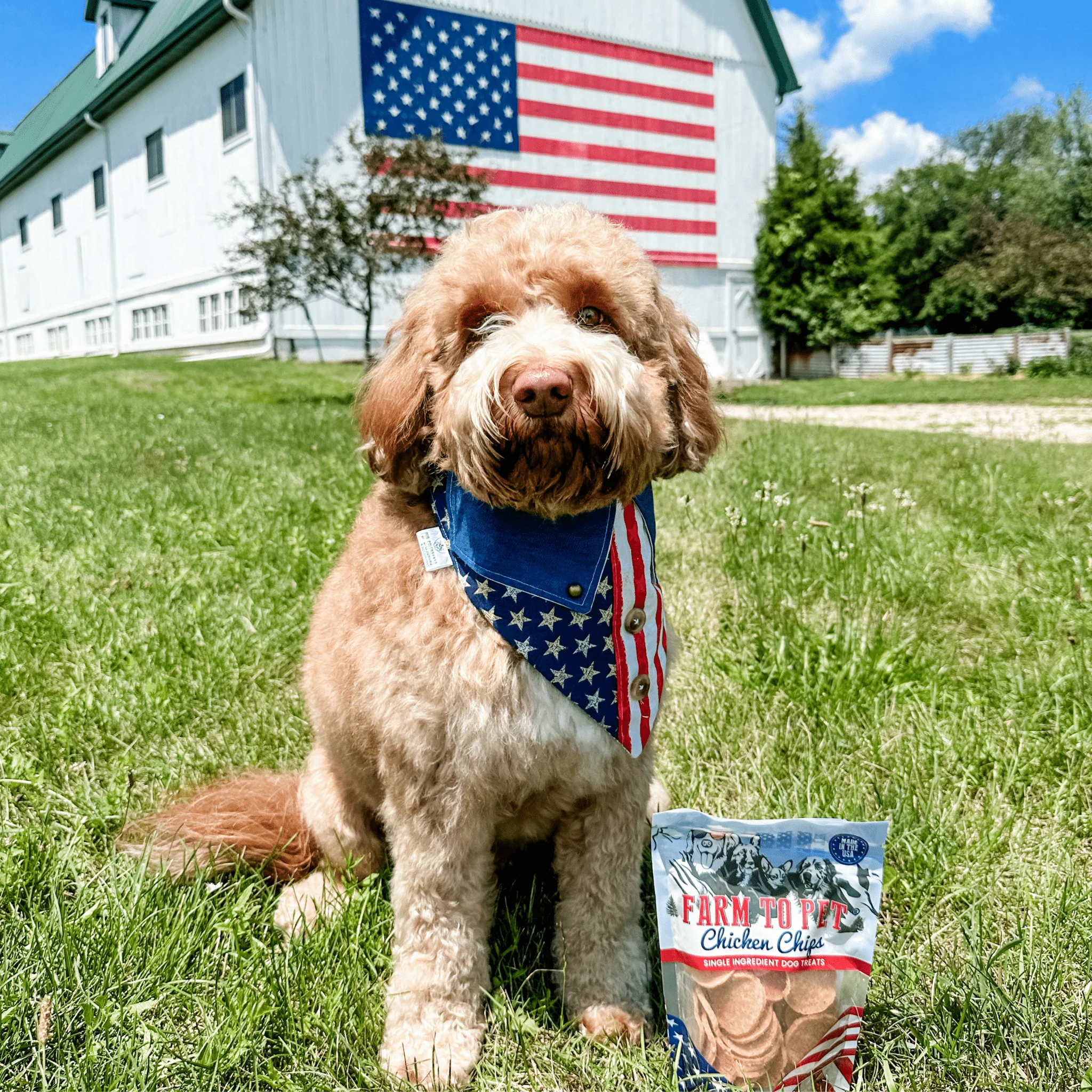 Americana Chicken Chips - Image 5
