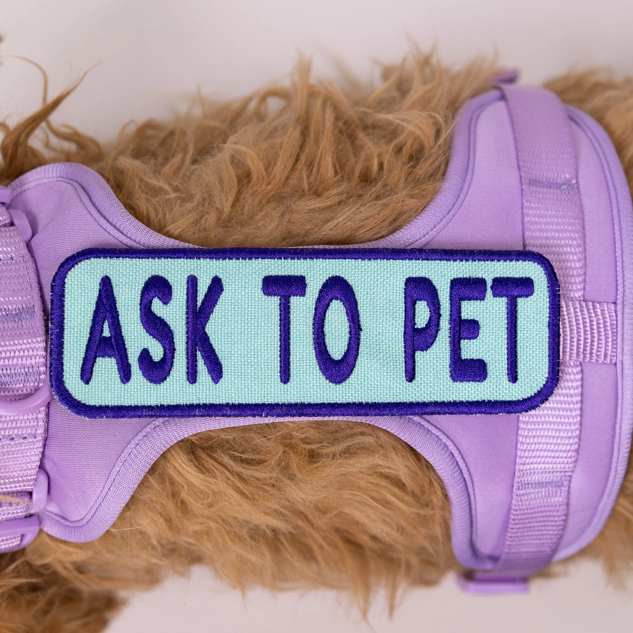Ask to Pet 2x6 Patch - Image 7