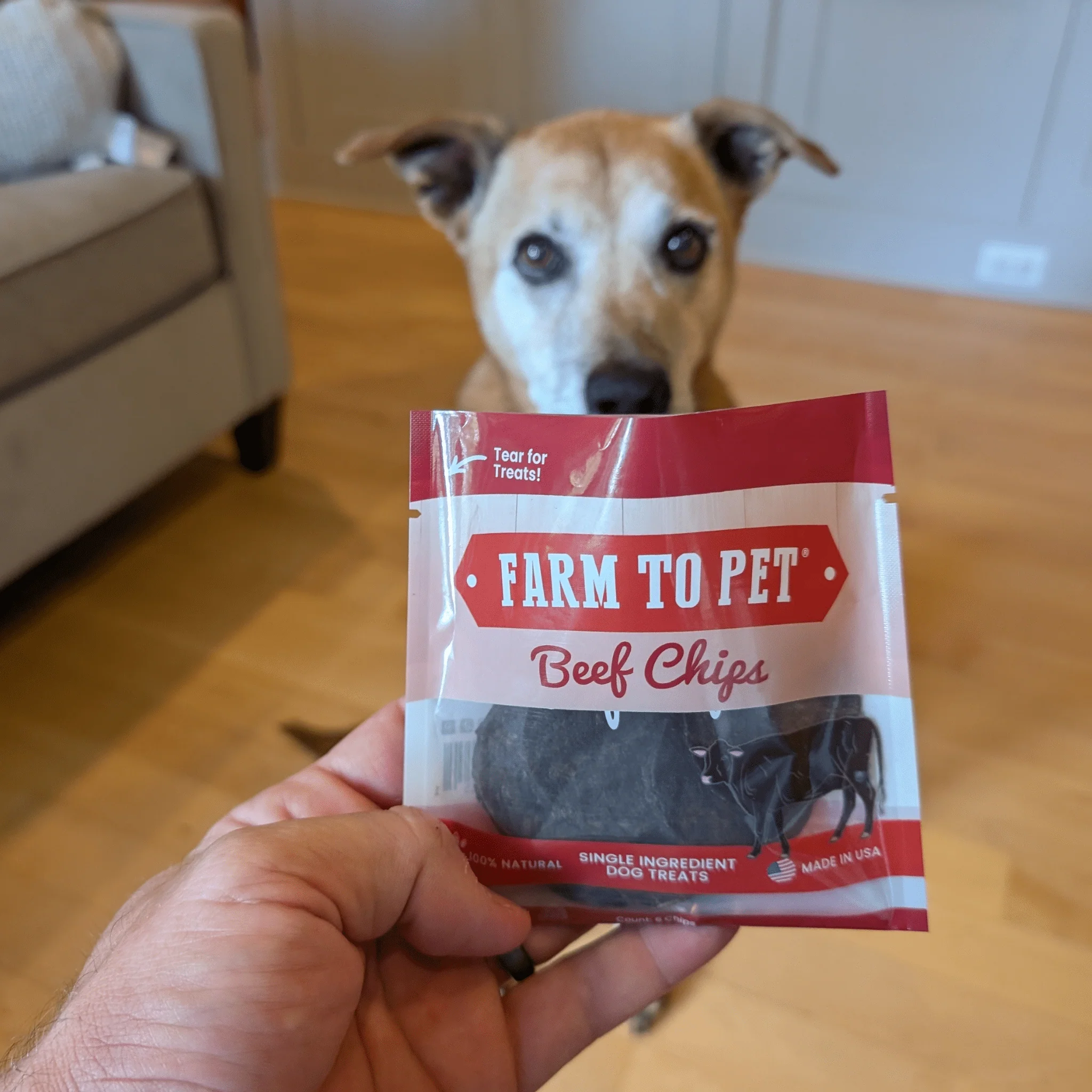 Beef Chip Snack Pack Bundles - Image 6