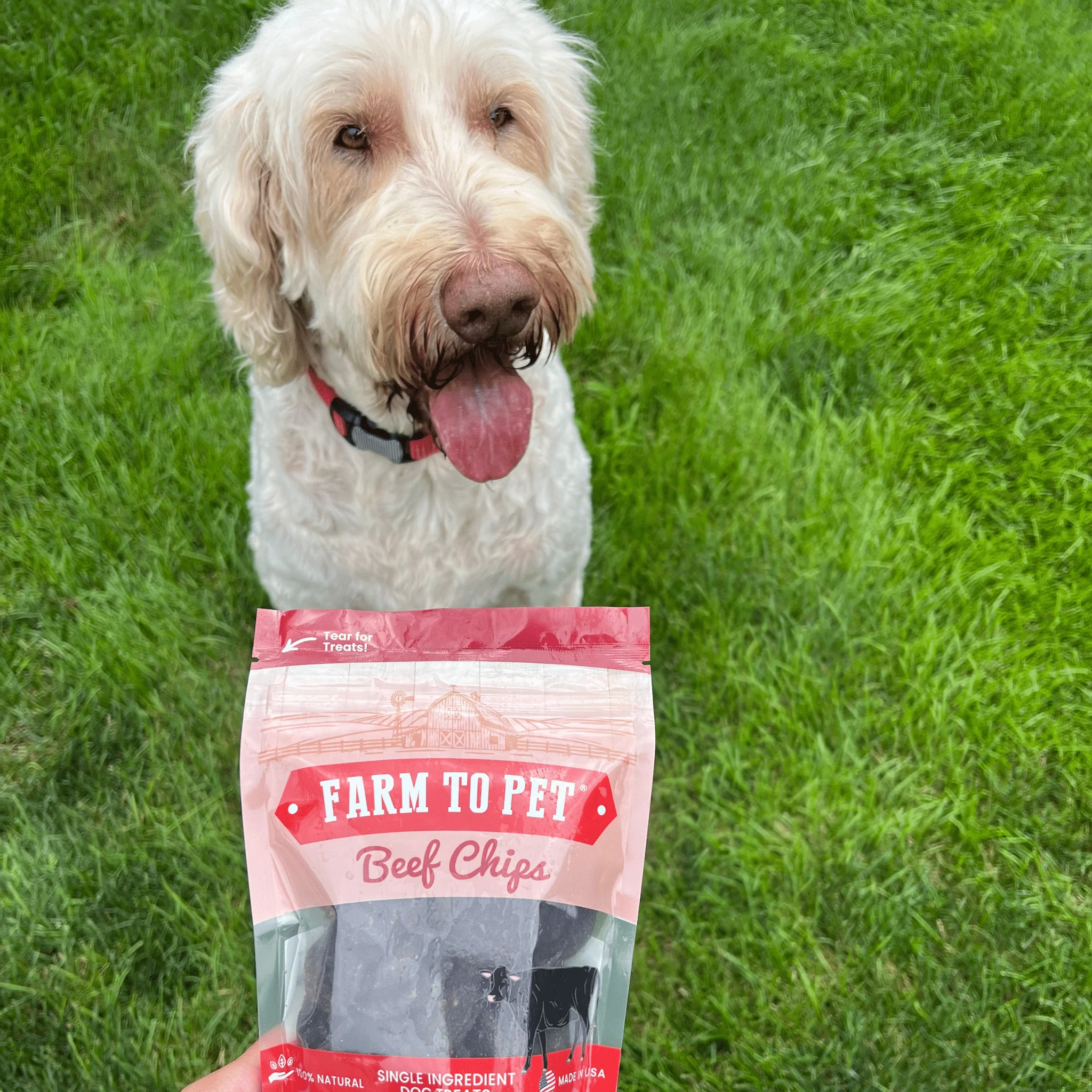 Beef Chips for Dogs - Image 6