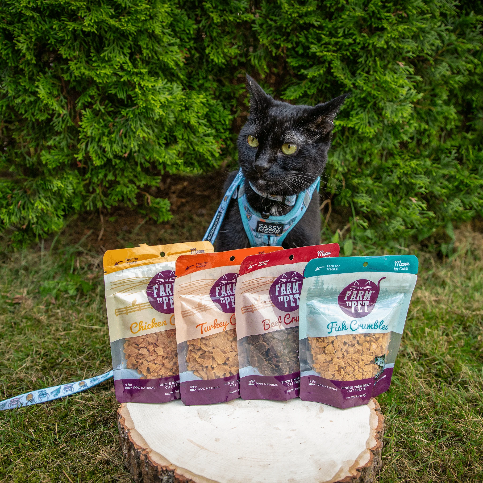 Beef Crumbles for Cats | 100% Protein Cat Treats - Image 5