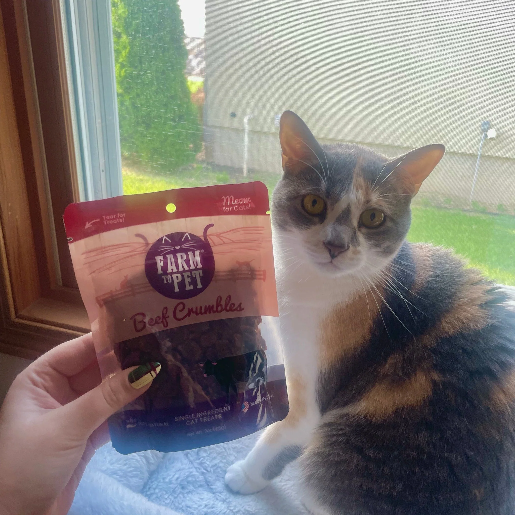 Beef Crumbles for Cats | 100% Protein Cat Treats - Image 6