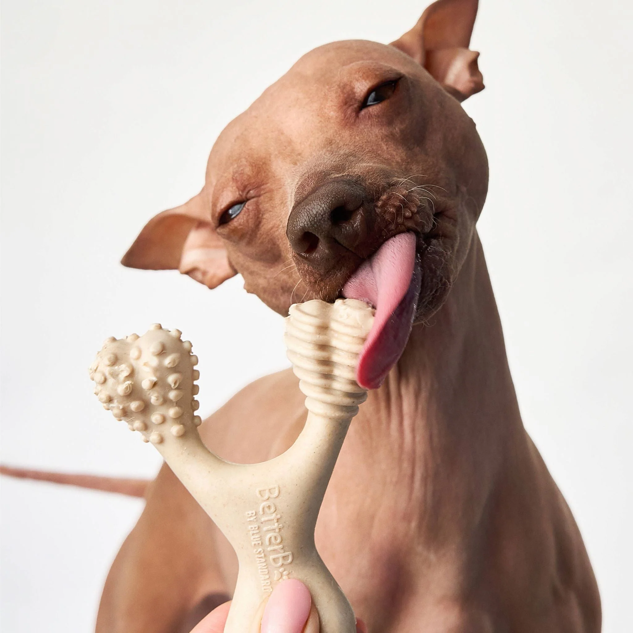BetterBone MEDIUM Durability CHEW TOY: Perfect Chew for Everyday Chewers | Natural Ingredients, Eco-Friendly, Non-Toxic - Image 3
