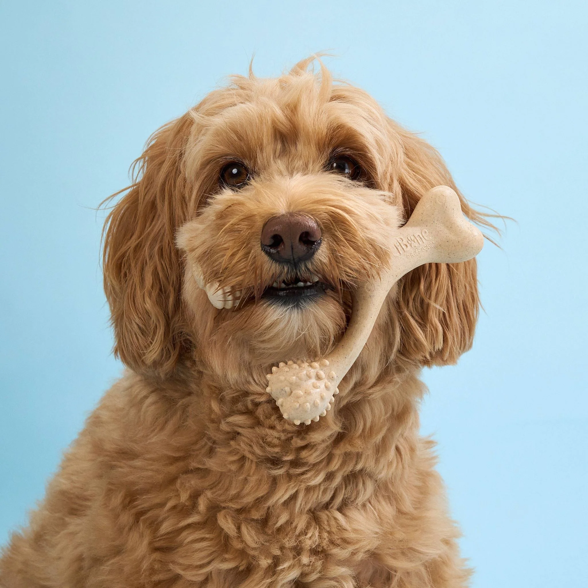 BetterBone SOFT Durability CHEW TOY: Natural Ingredients, Perfect for Teething Puppies, Senior Dogs & Gentle Chewers - Image 13