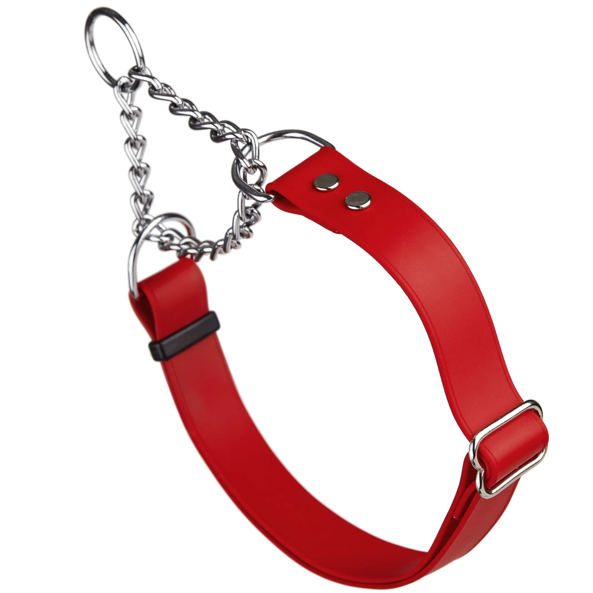 Biothane Adjustable Martingale Collar for Dogs - Image 15