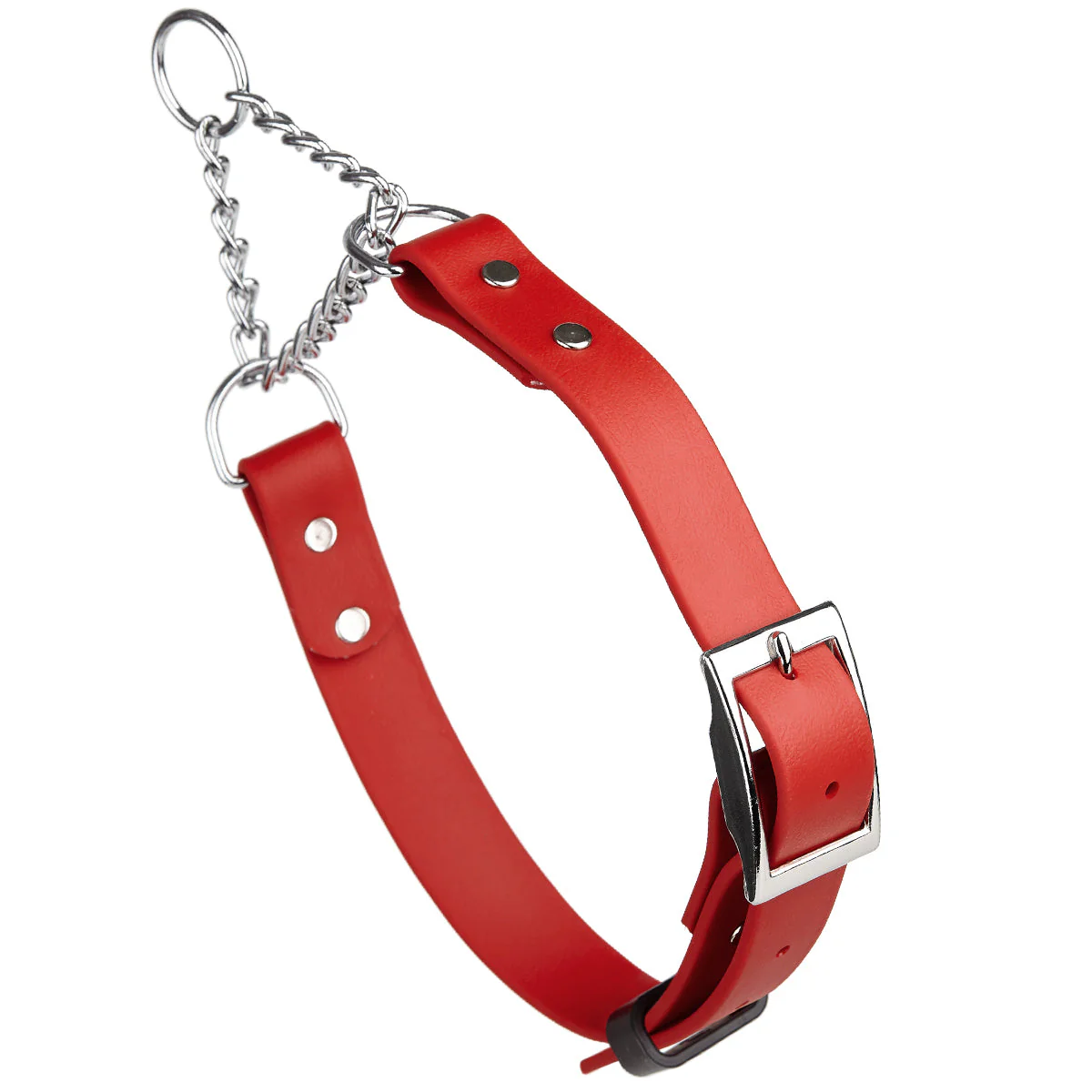 Biothane Adjustable Martingale Collar with Metal Buckle - Image 13