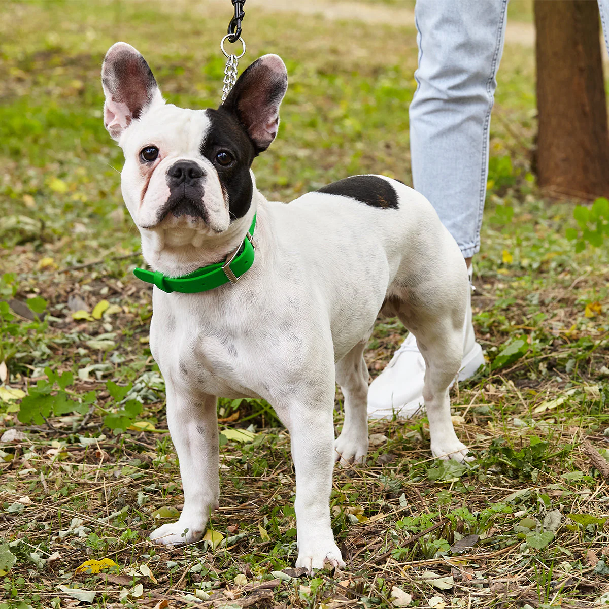 Biothane Adjustable Martingale Collar with Metal Buckle - Image 4