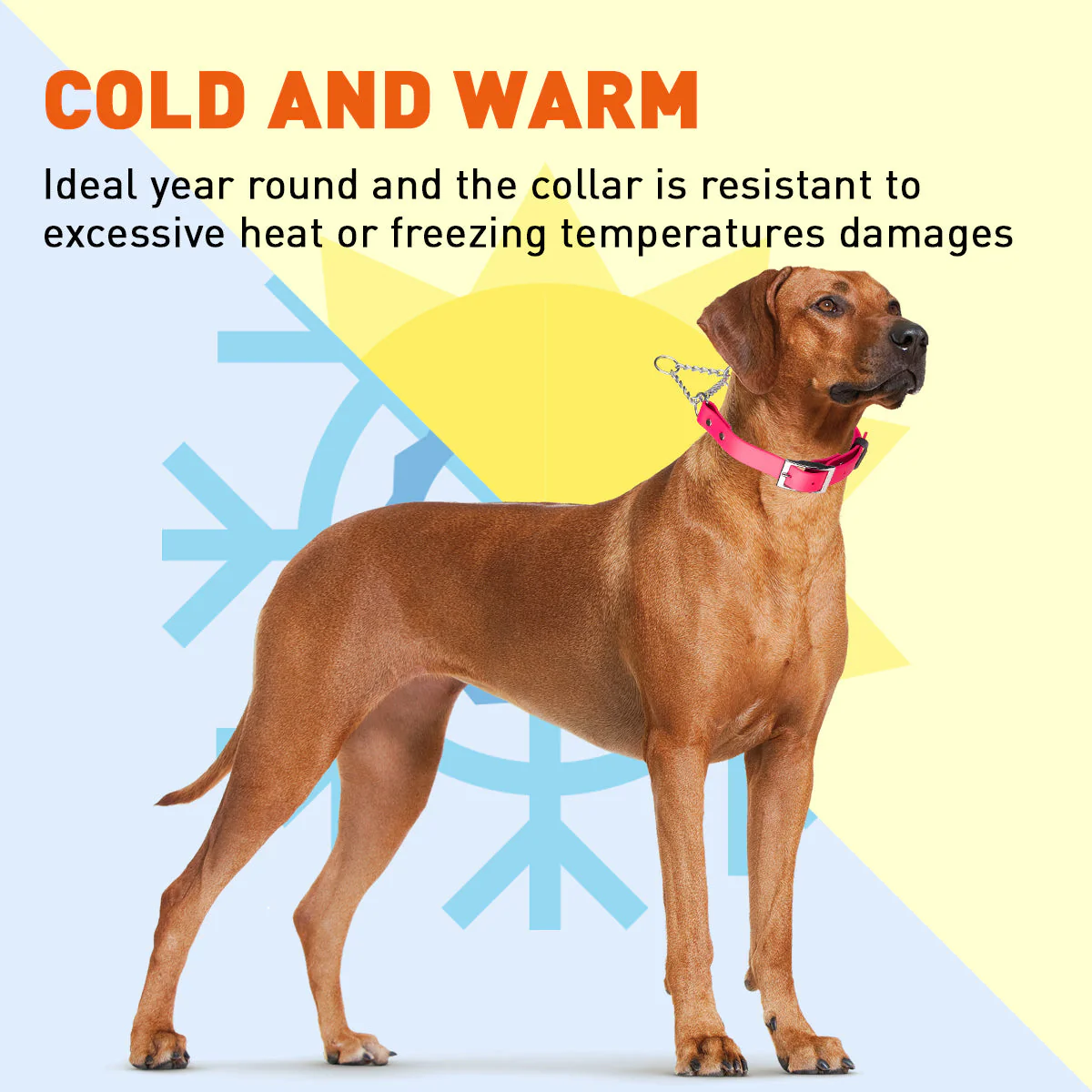 Biothane Adjustable Martingale Collar with Metal Buckle - Image 9