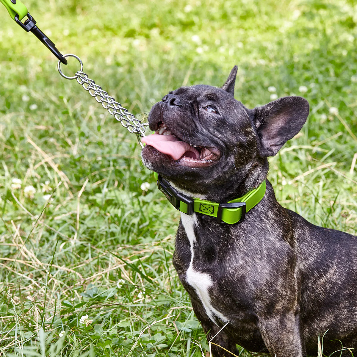 Biothane Adjustable Martingale Collar with Quick Release Buckle - Image 2