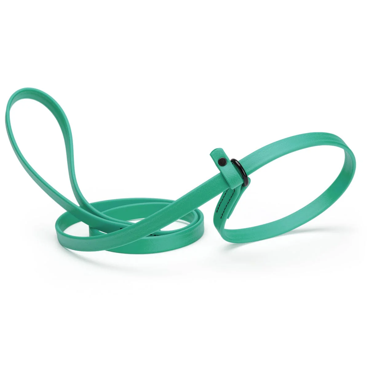 Biothane Slip Lead for Dogs, 5FT and 7FT - Image 14