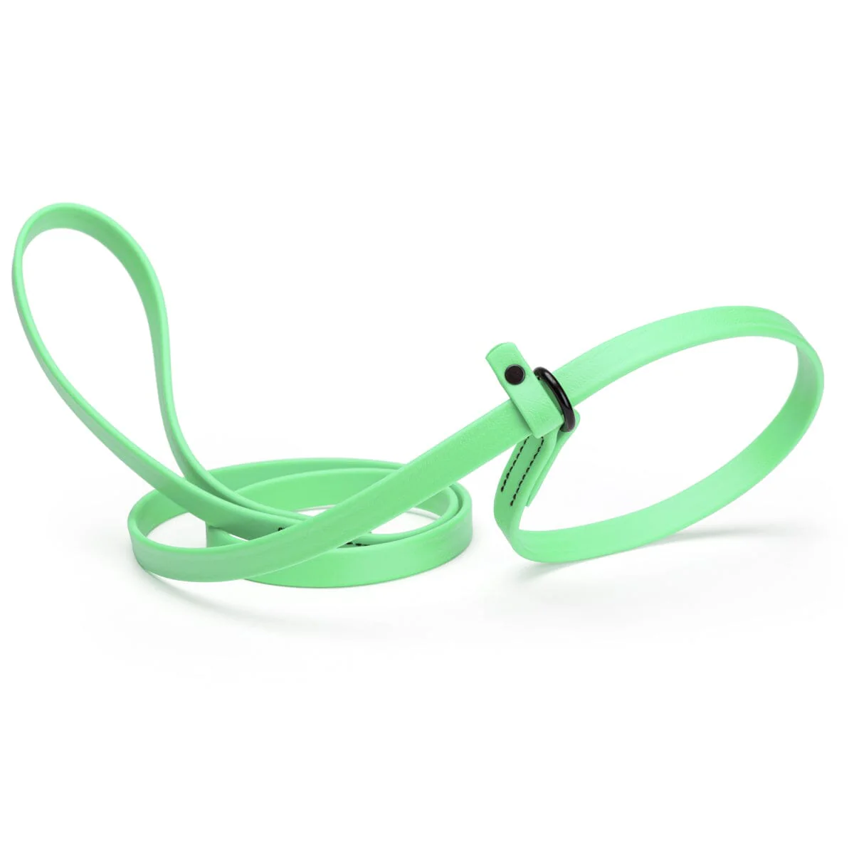 Biothane Slip Lead for Dogs, 5FT and 7FT - Image 20