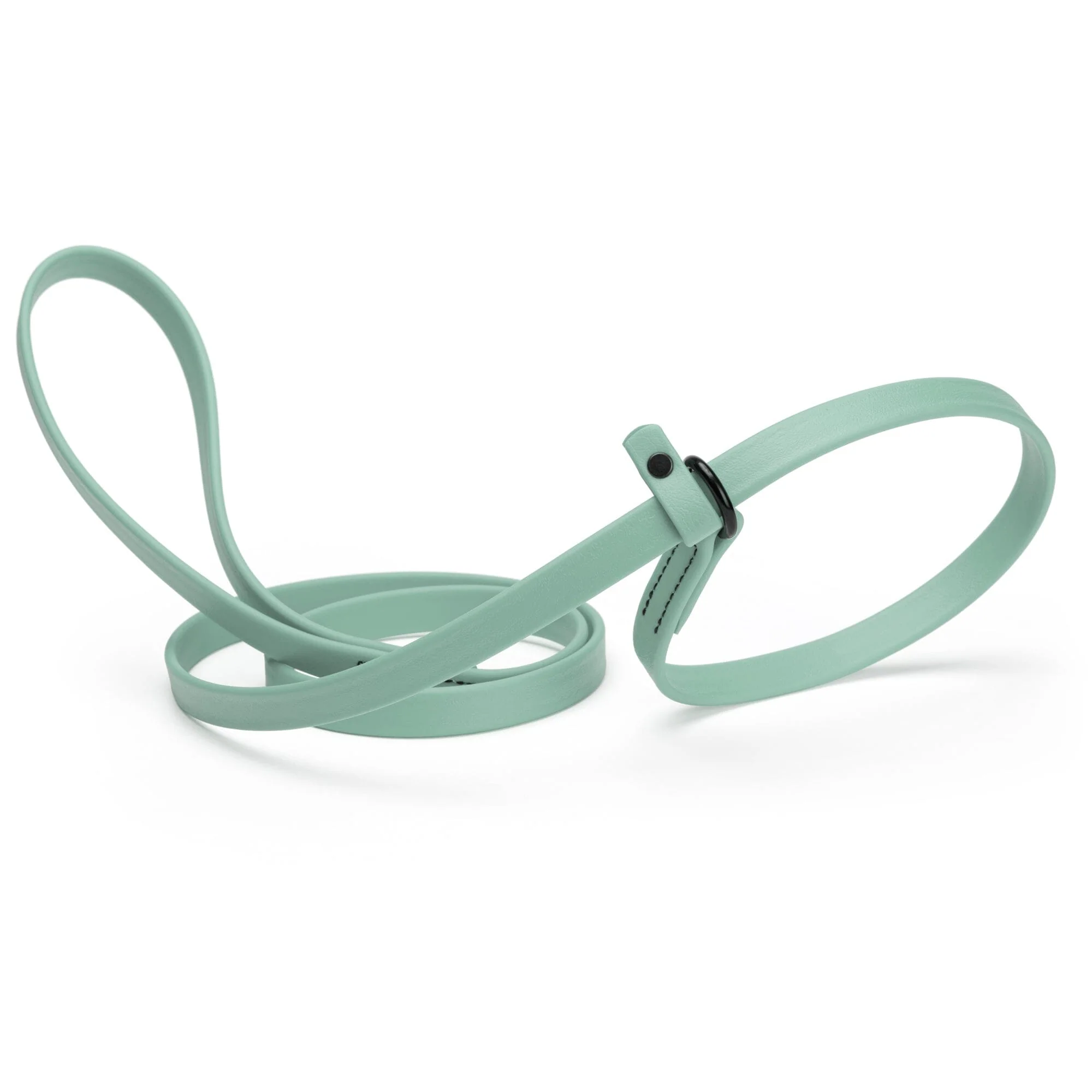Biothane Slip Lead for Dogs, 5FT and 7FT - Image 21