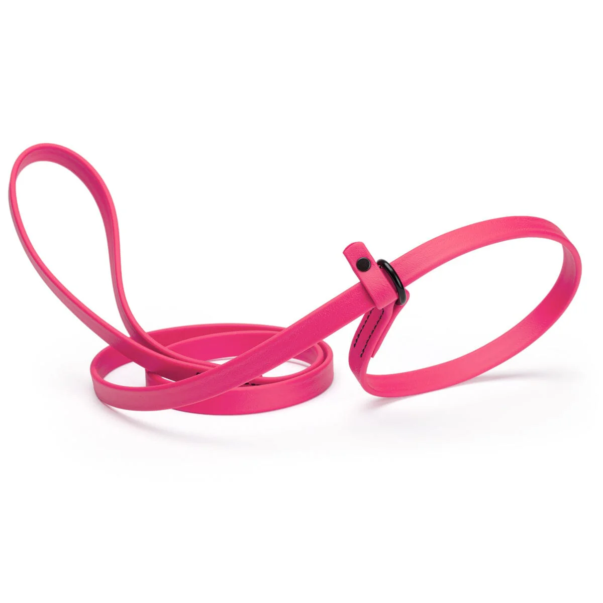 Biothane Slip Lead for Dogs, 5FT and 7FT - Image 25