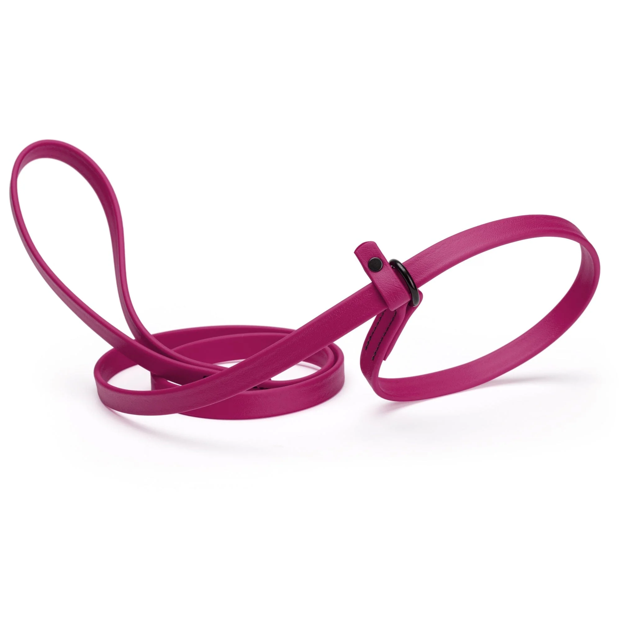 Biothane Slip Lead for Dogs, 5FT and 7FT - Image 27