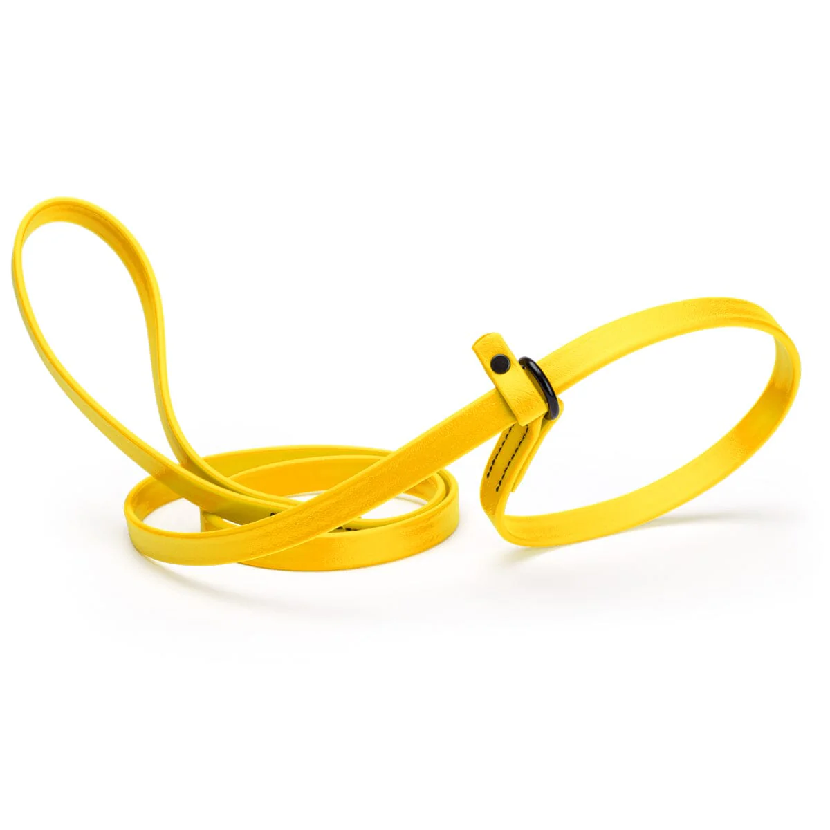 Biothane Slip Lead for Dogs, 5FT and 7FT - Image 29