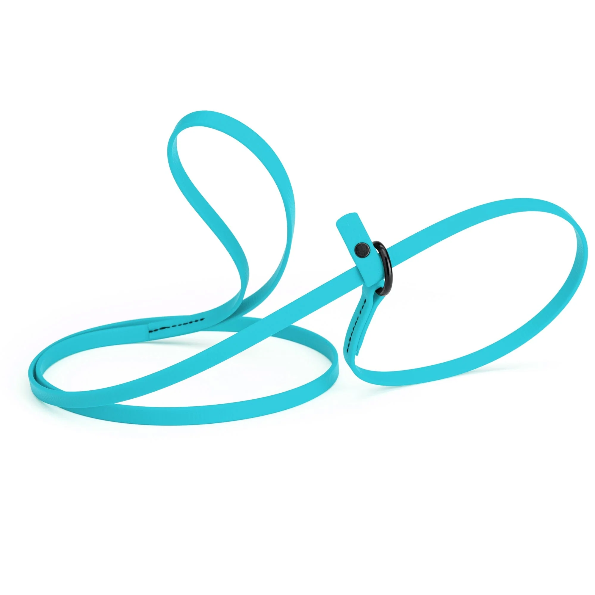 Biothane Slip Lead for Dogs, 5FT and 7FT - Image 38