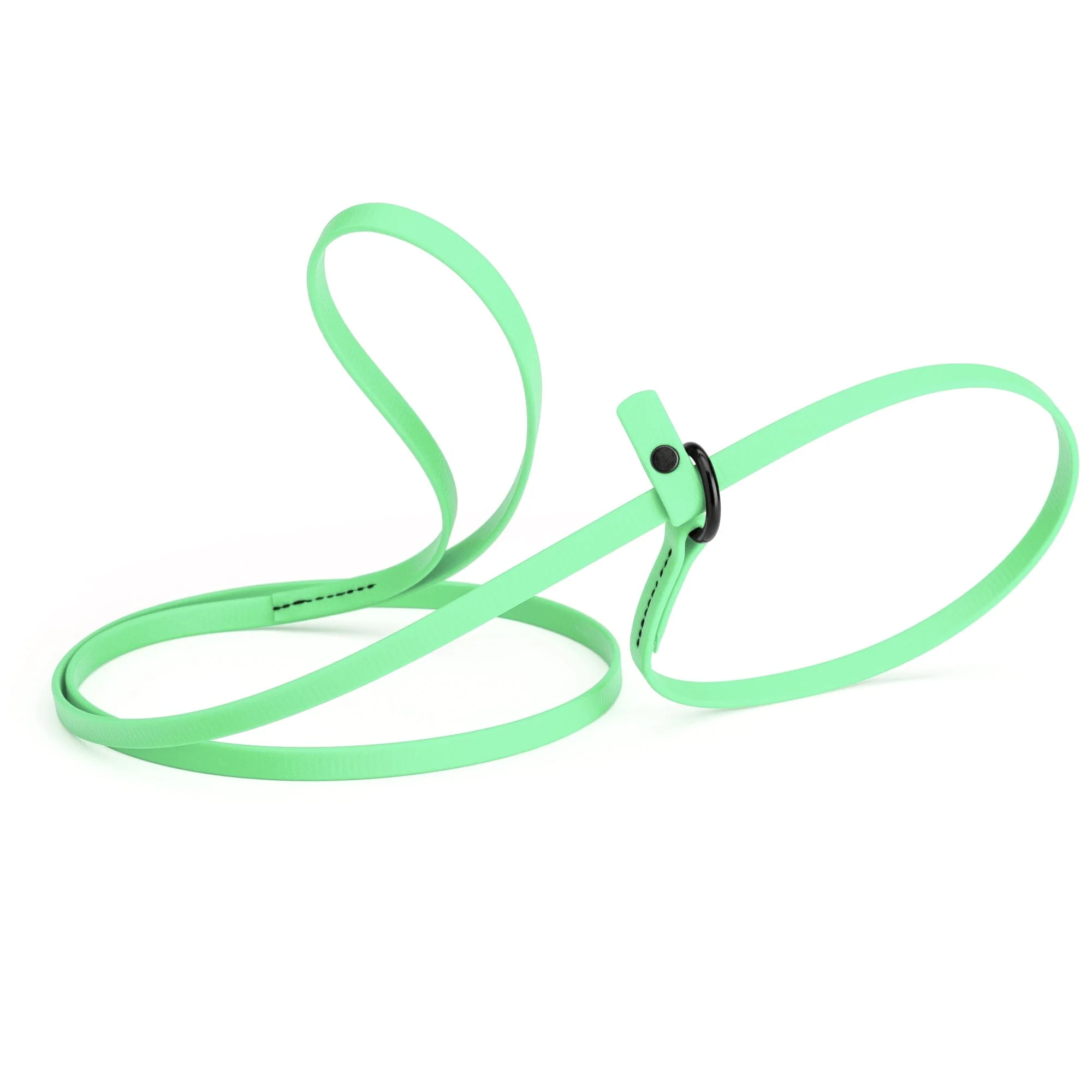 Biothane Slip Lead for Dogs, 5FT and 7FT - Image 45
