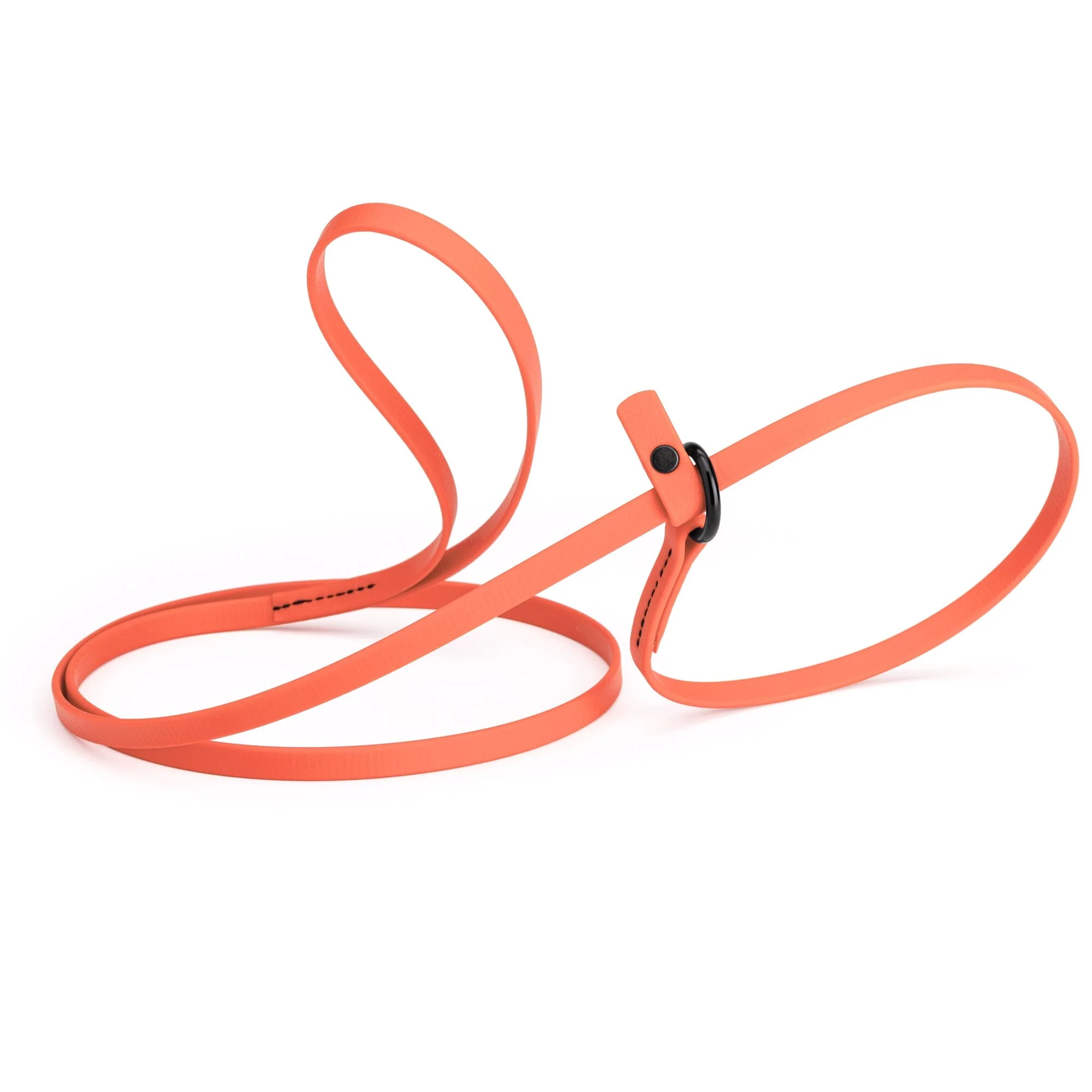 Biothane Slip Lead for Dogs, 5FT and 7FT - Image 49