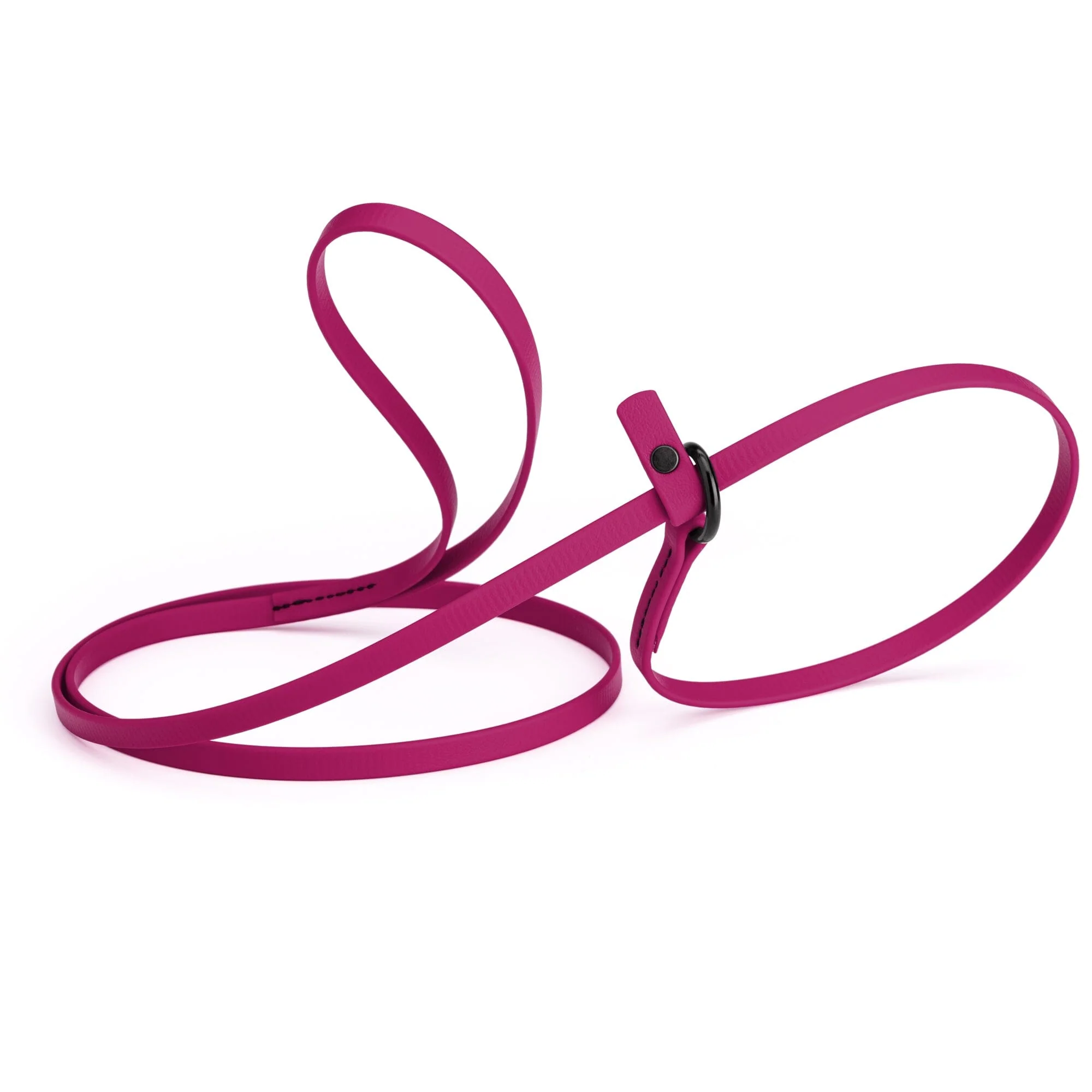 Biothane Slip Lead for Dogs, 5FT and 7FT - Image 51