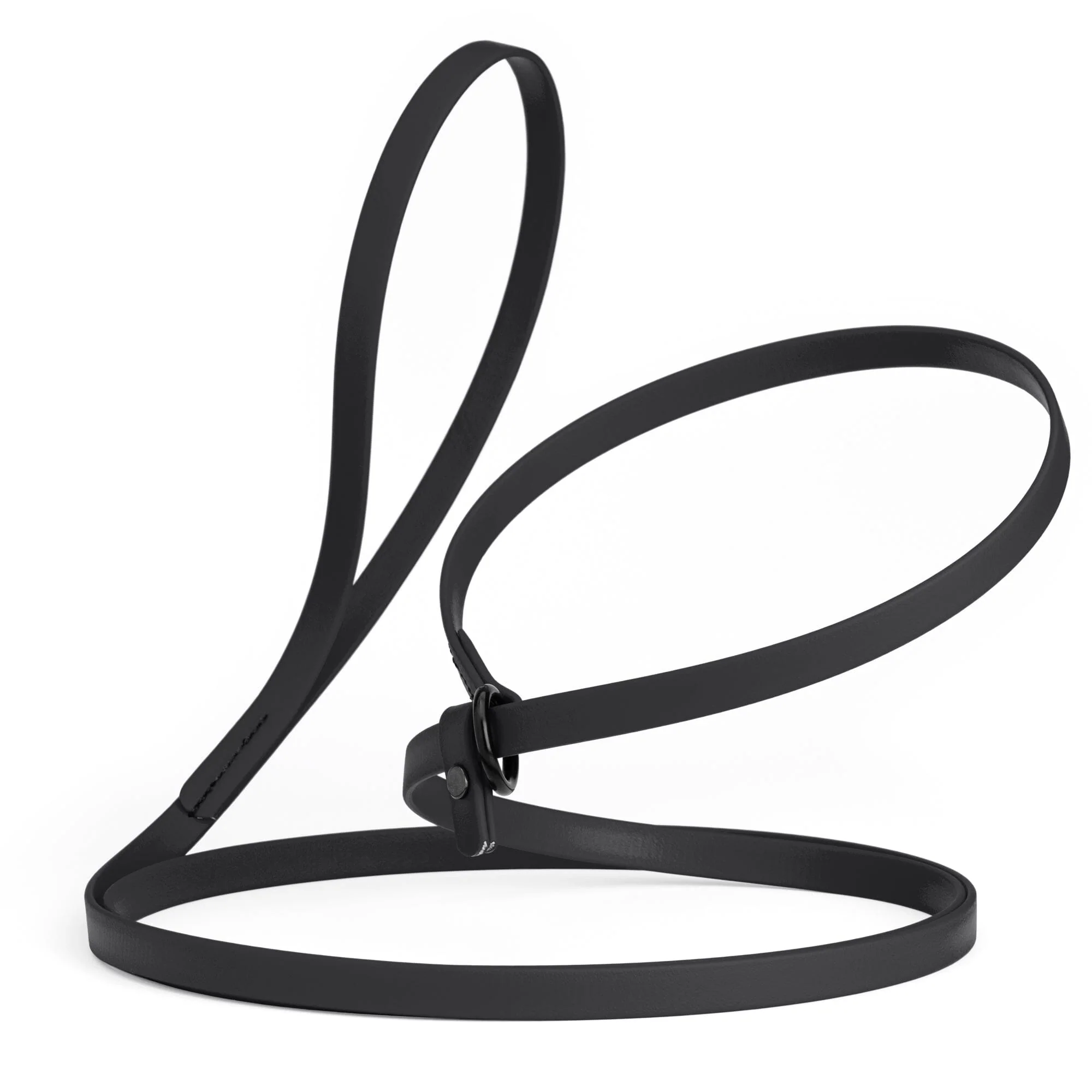 Biothane Slip Lead for Dogs, 5FT and 7FT - Image 58