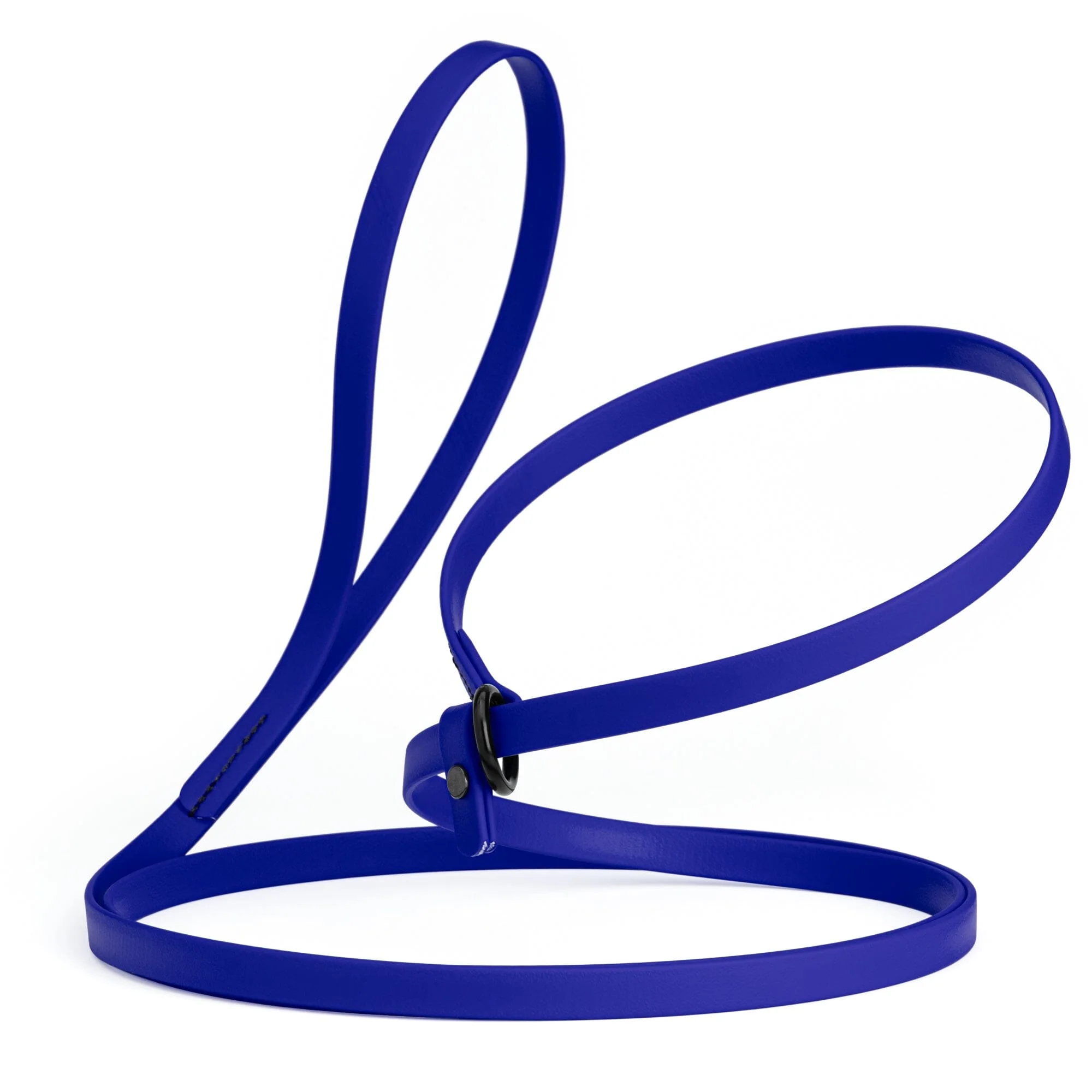 Biothane Slip Lead for Dogs, 5FT and 7FT - Image 60