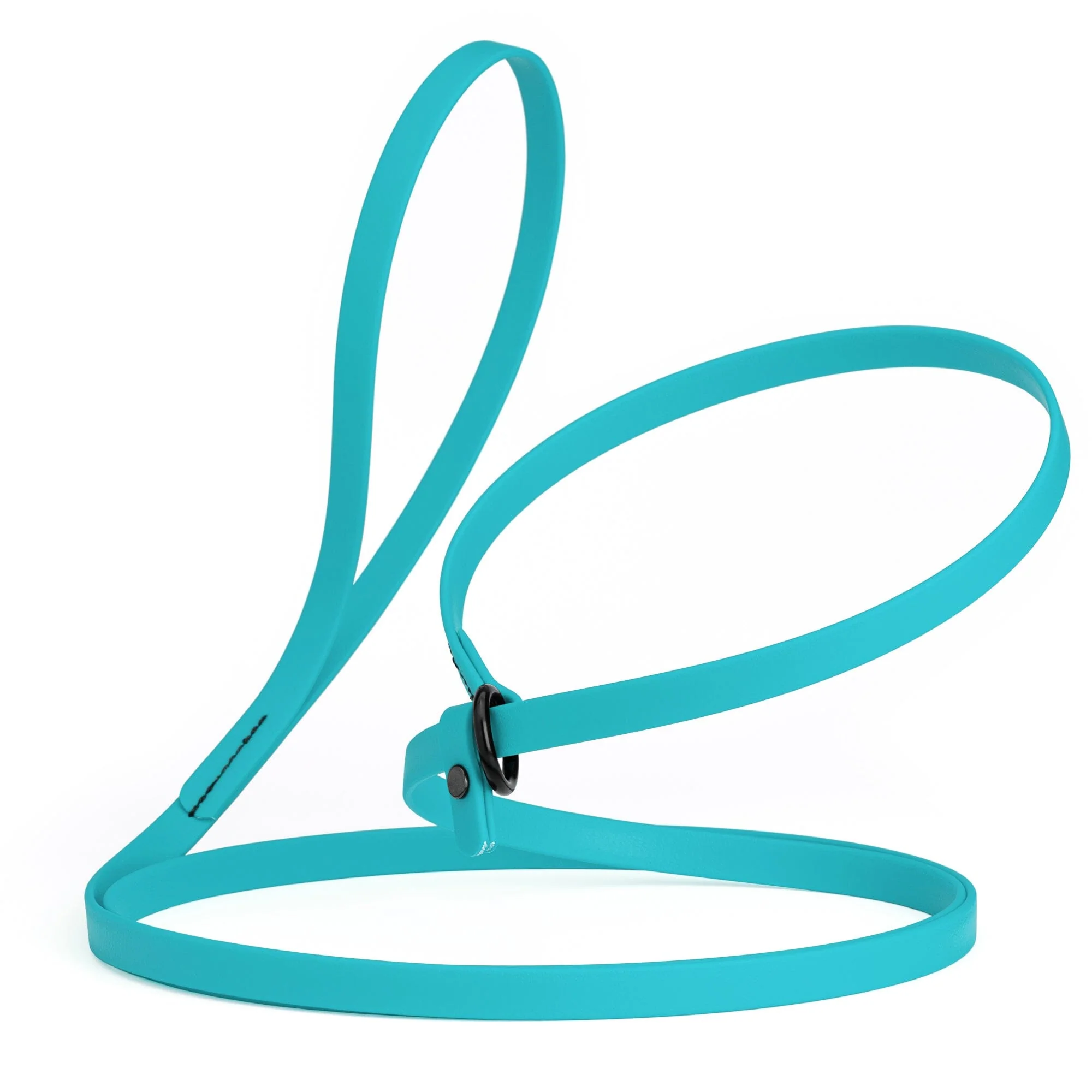 Biothane Slip Lead for Dogs, 5FT and 7FT - Image 61