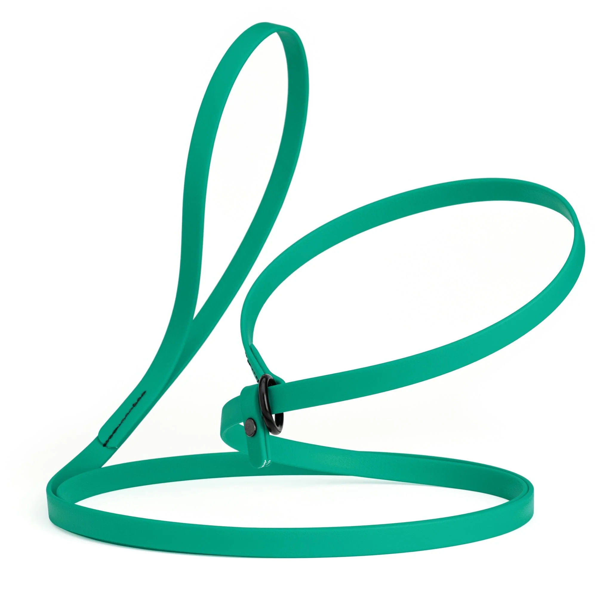 Biothane Slip Lead for Dogs, 5FT and 7FT - Image 62