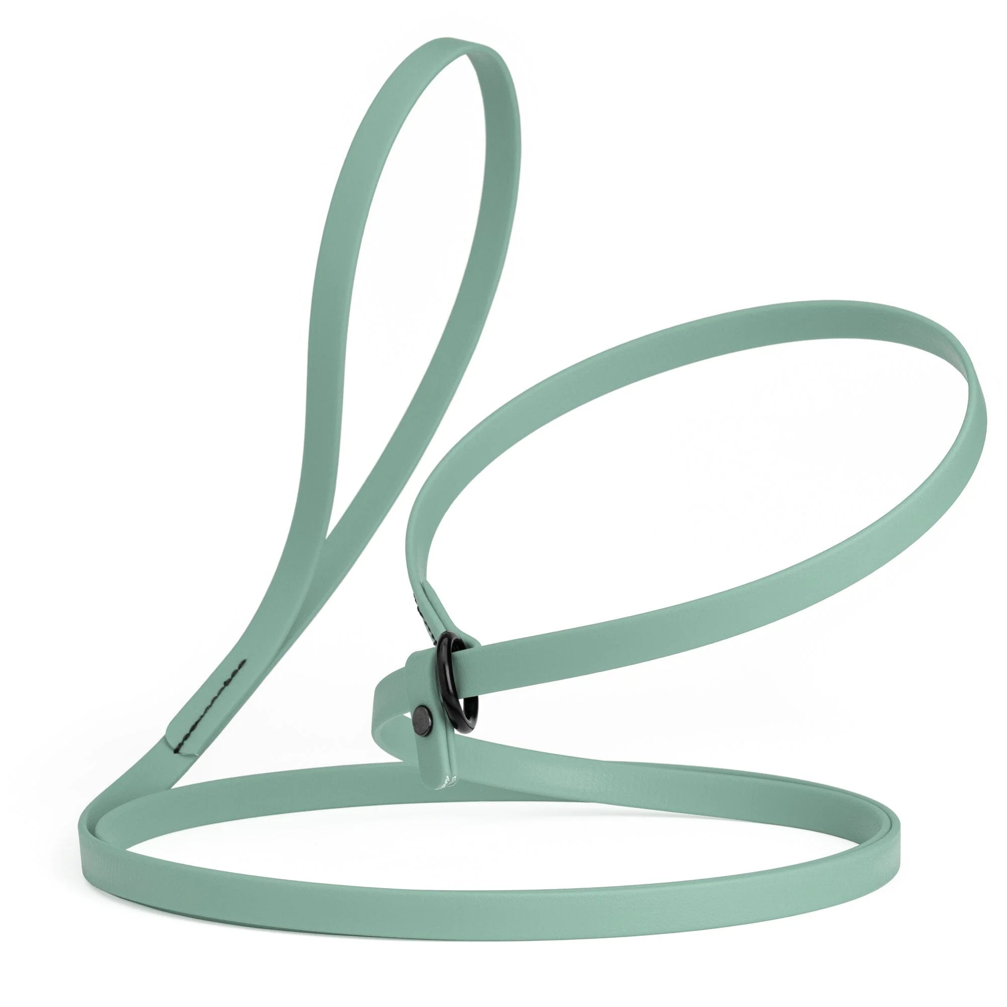Biothane Slip Lead for Dogs, 5FT and 7FT - Image 69