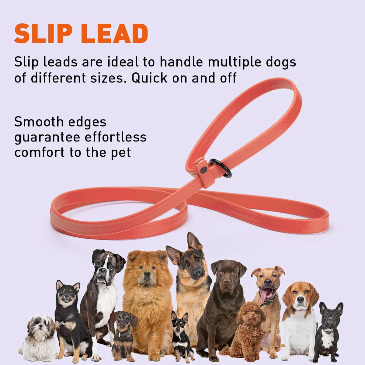 Biothane Slip Lead for Dogs, 5FT and 7FT - Image 7