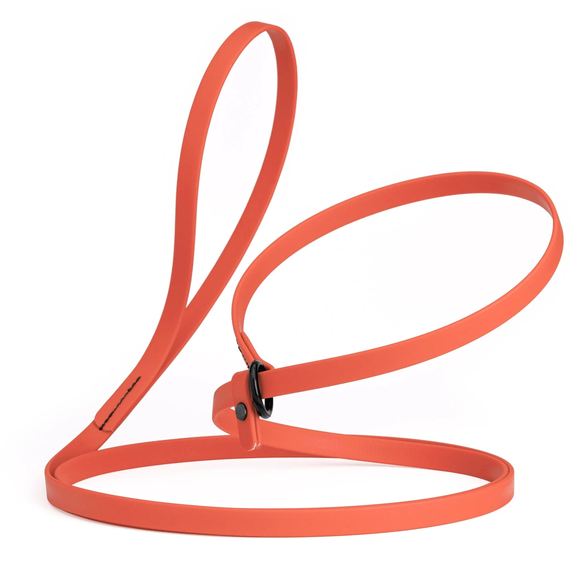 Biothane Slip Lead for Dogs, 5FT and 7FT - Image 74