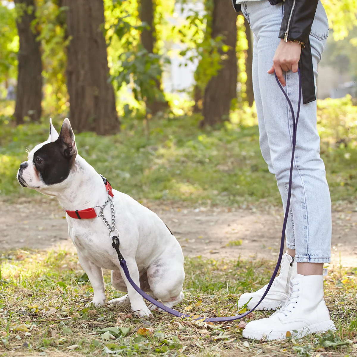 Biothane Waterproof Dog Leash, 4 ft - Image 6