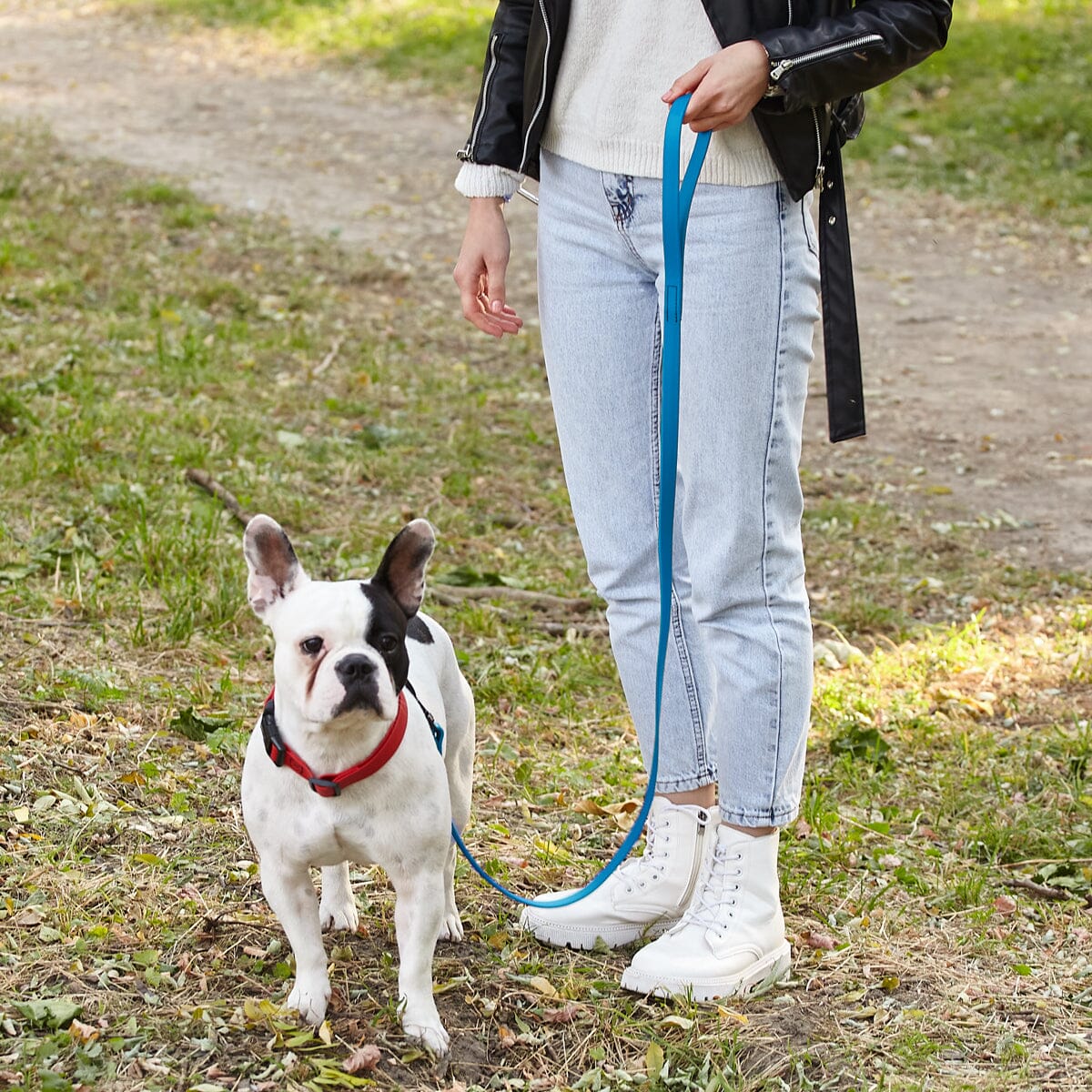 Biothane Waterproof Traffic Lead for Dogs, 2 ft - Image 2