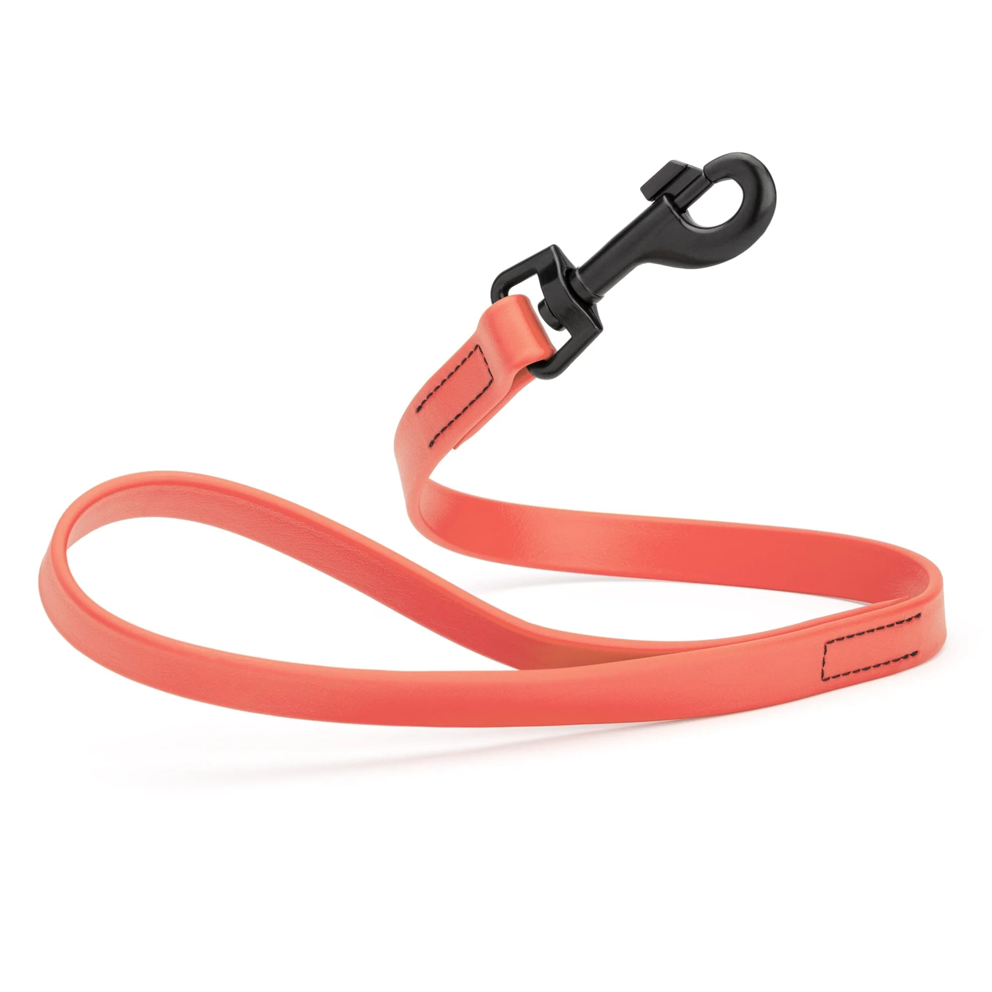 Biothane Waterproof Traffic Lead for Dogs, 2 ft - Image 31