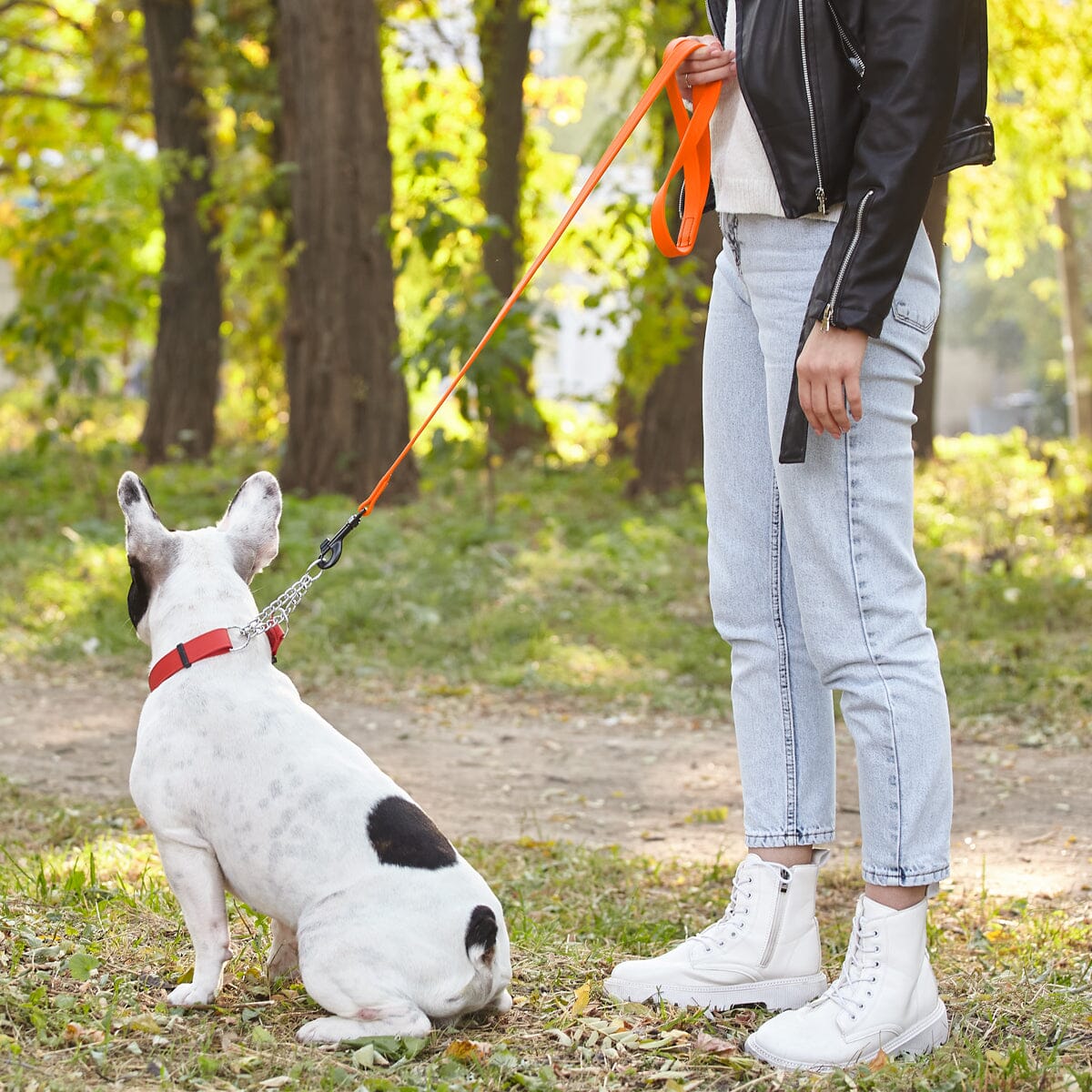 Biothane Waterproof Traffic Lead for Dogs, 2 ft - Image 4