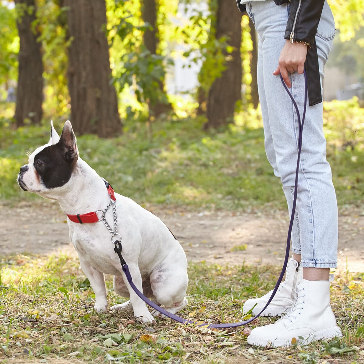 Biothane Waterproof Traffic Lead for Dogs, 2 ft - Image 6