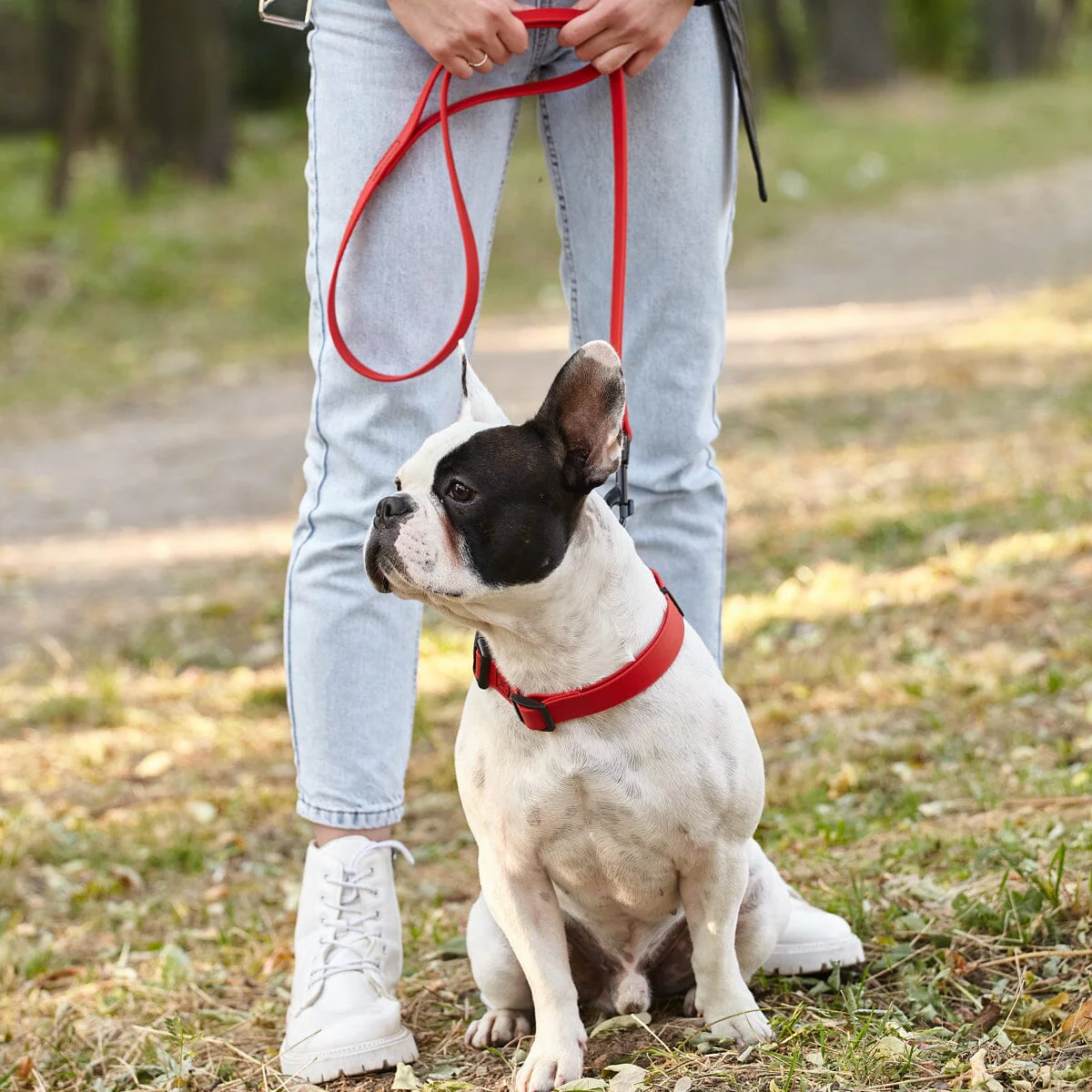 Biothane Waterproof Traffic Lead for Dogs, 2 ft - Image 7