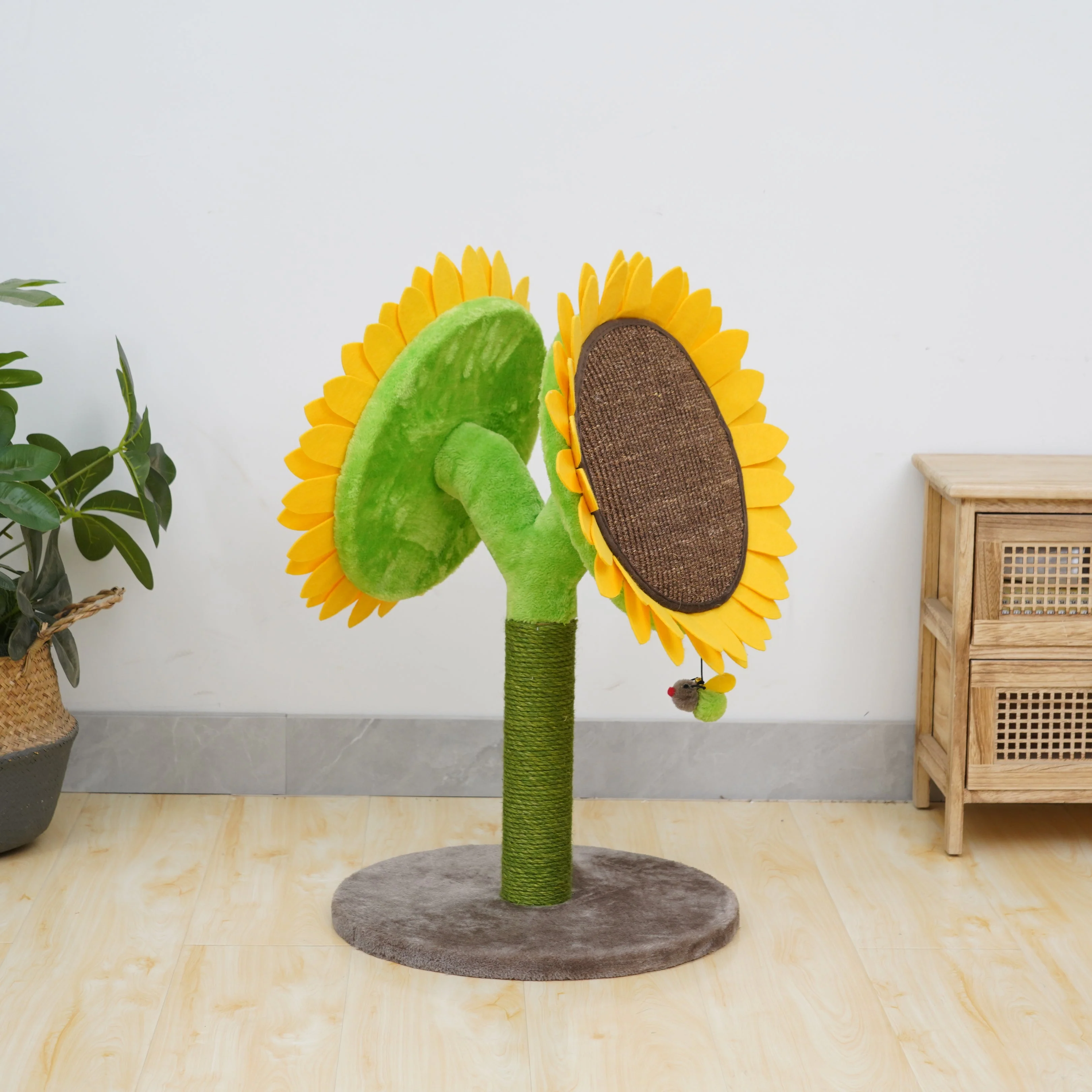 Bloom Double Sunflower - Image 4
