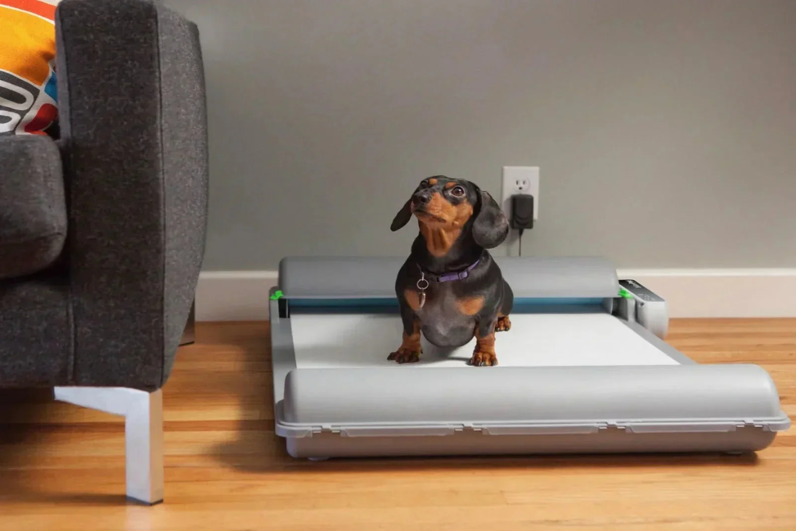 BrilliantPad Basic Automatic Dog Potty | Self-Cleaning Indoor Pad System