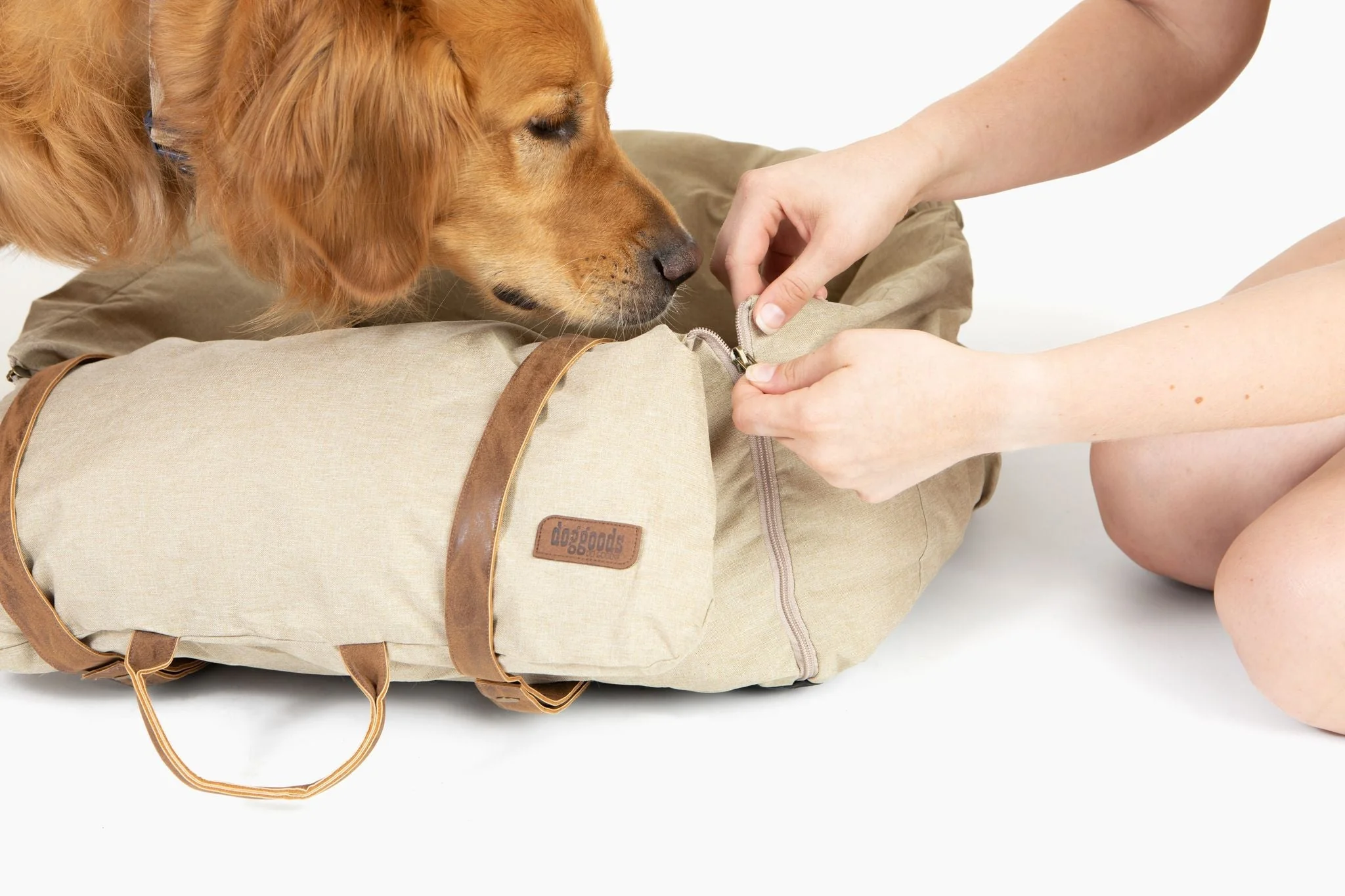 Car Bed for Dogs by DogGoods ™ - Image 14
